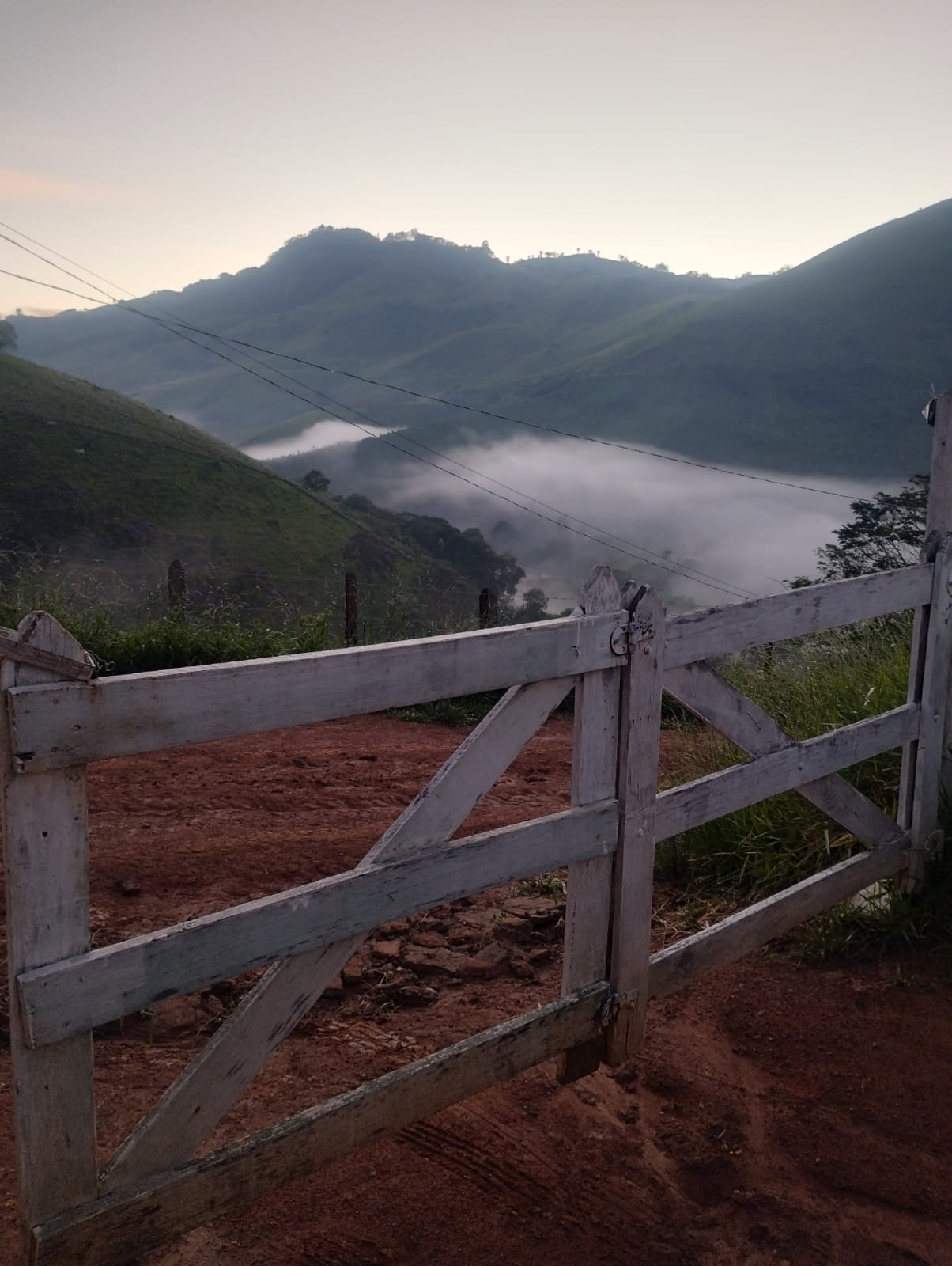 inbound2975304810033824564