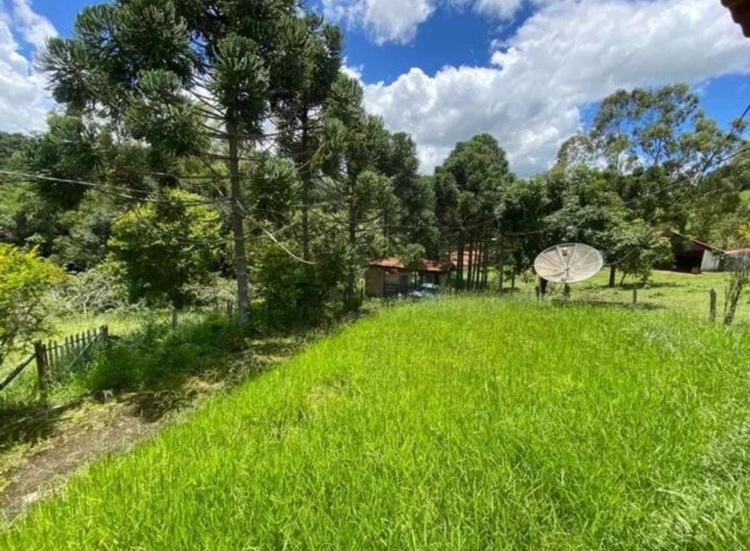 inbound4220233790458304923