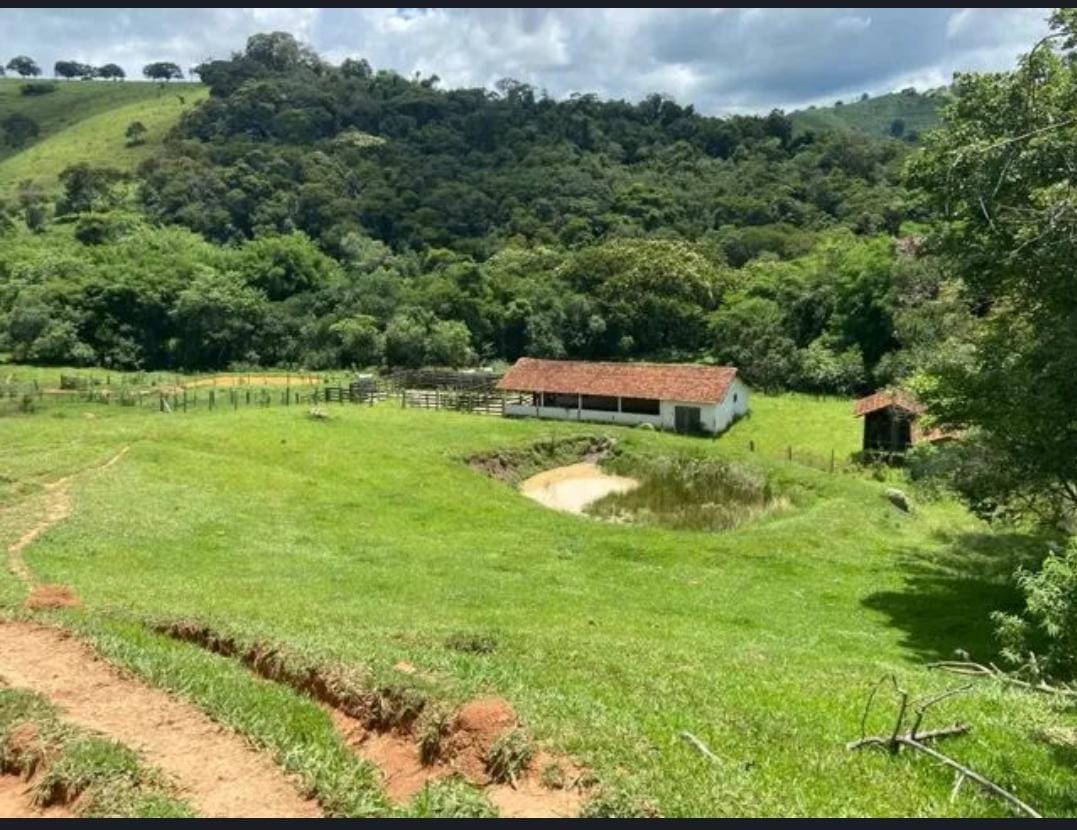 inbound4337720736542253361