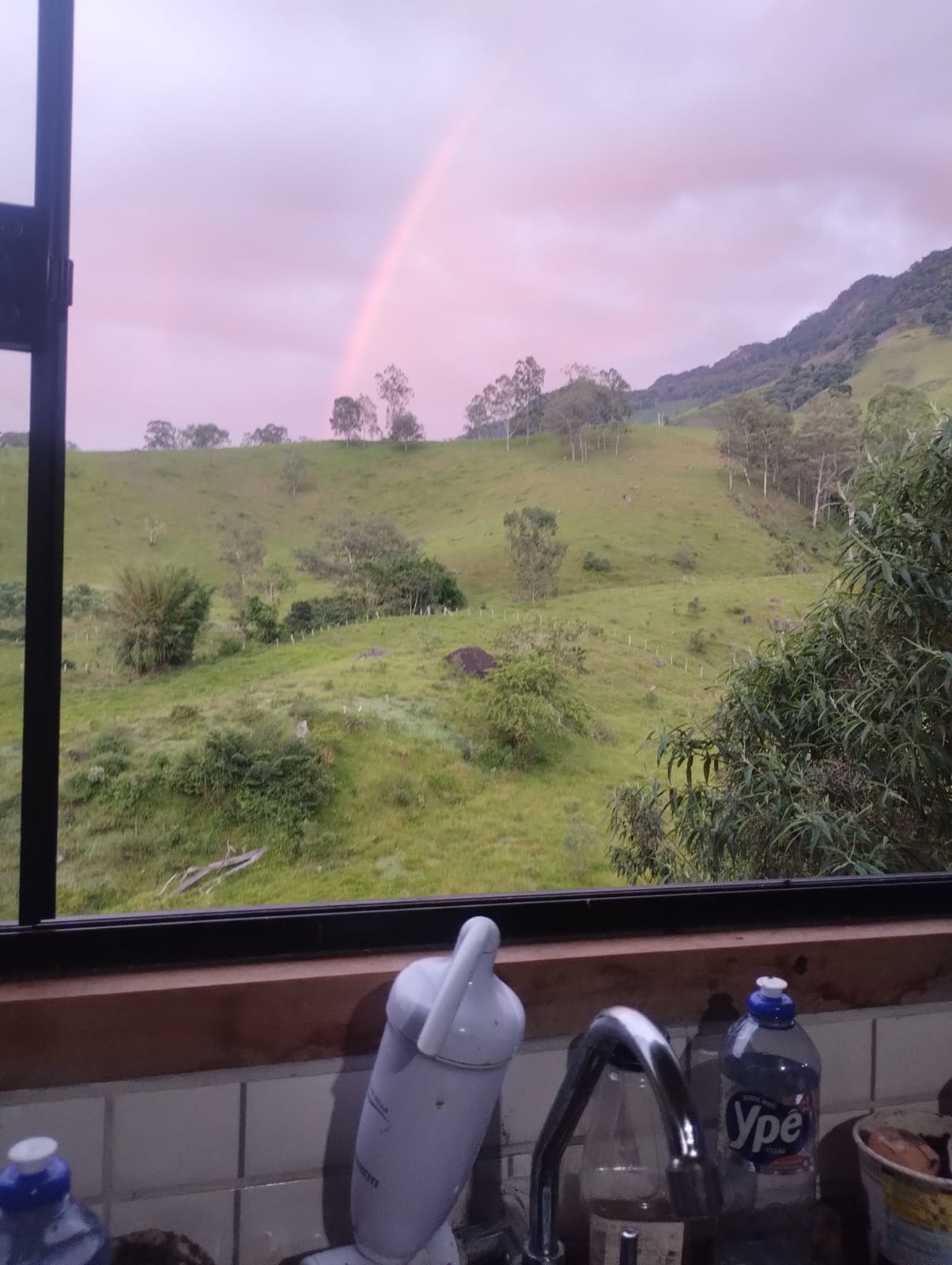 inbound4911740557780222932