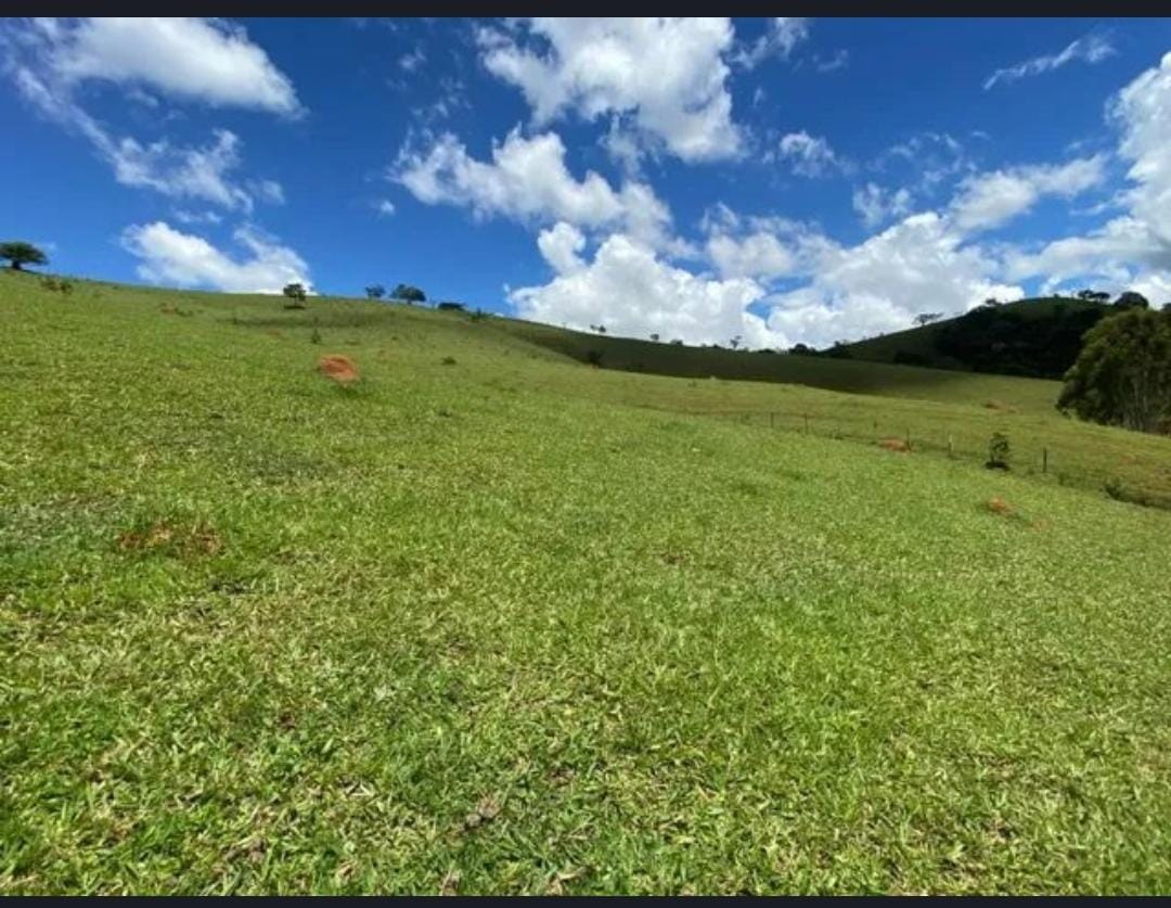 inbound4964750254472256037