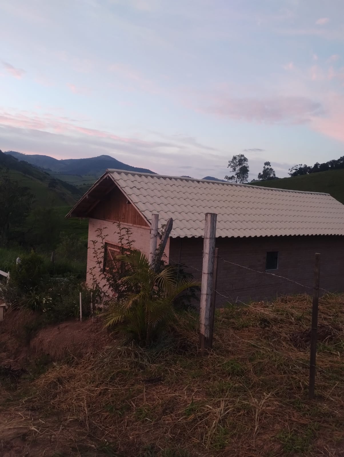 inbound6577435151965017354