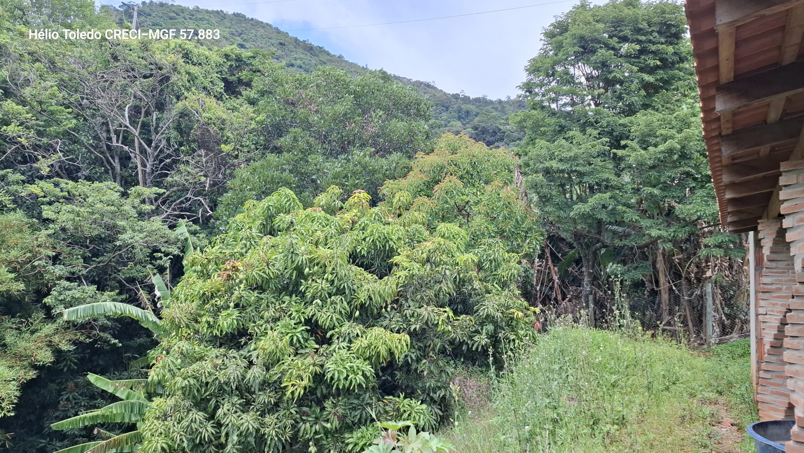 inbound1042986902607313978