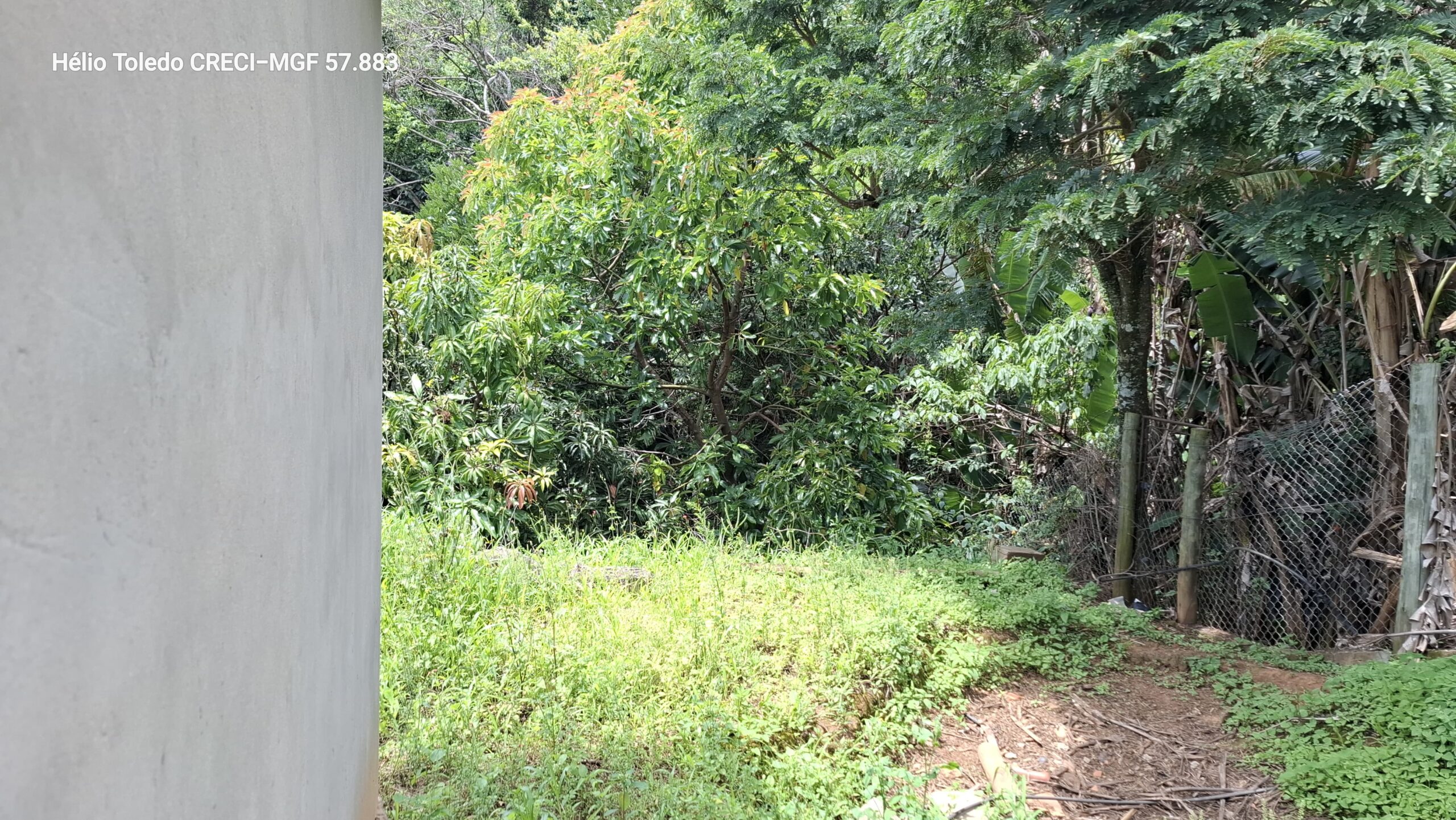 inbound13601703818152867