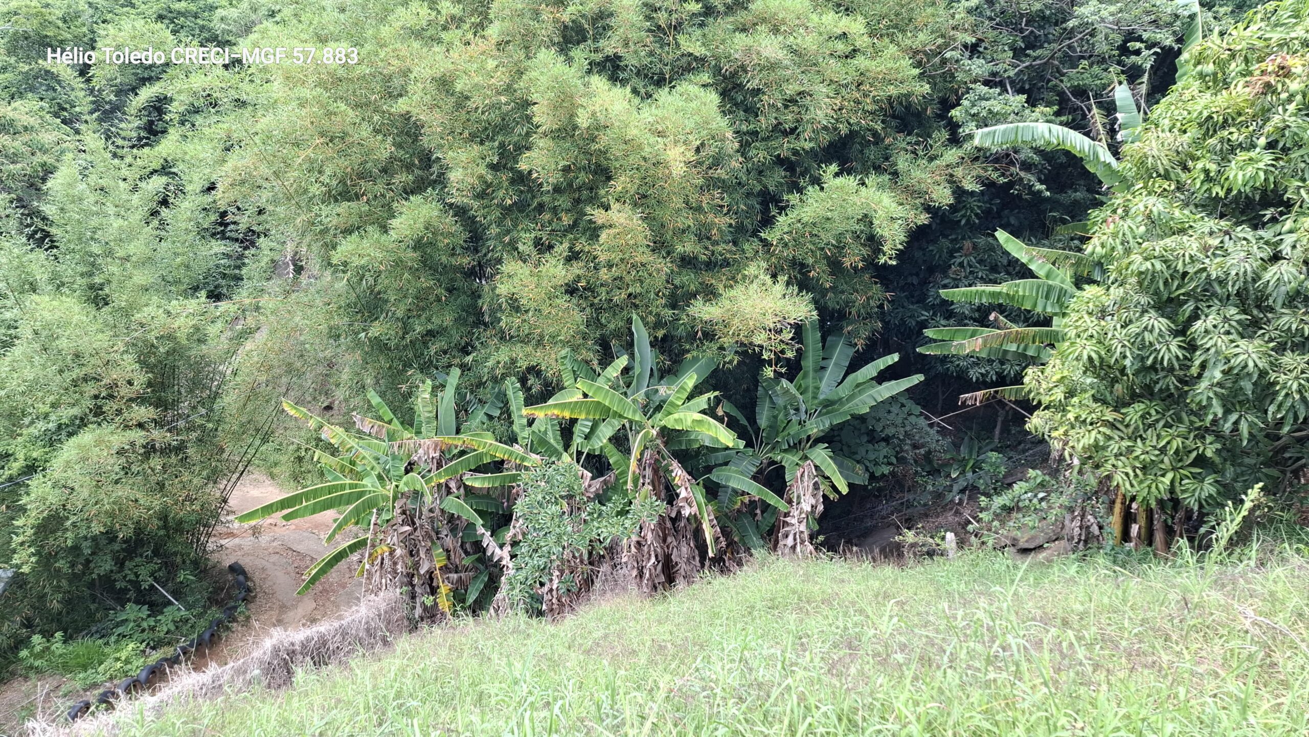 inbound2786886462261799308