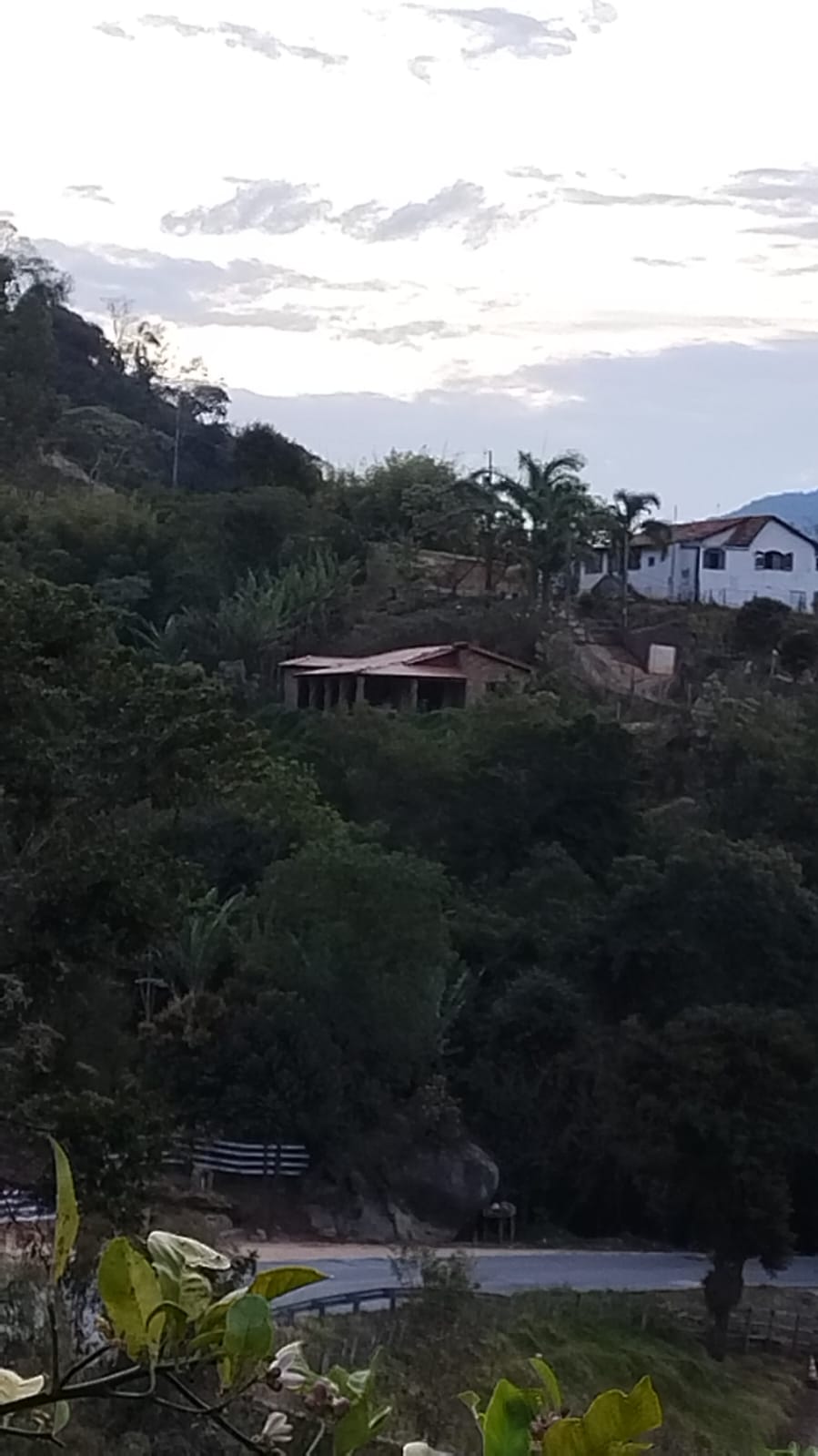 inbound289451988402975732