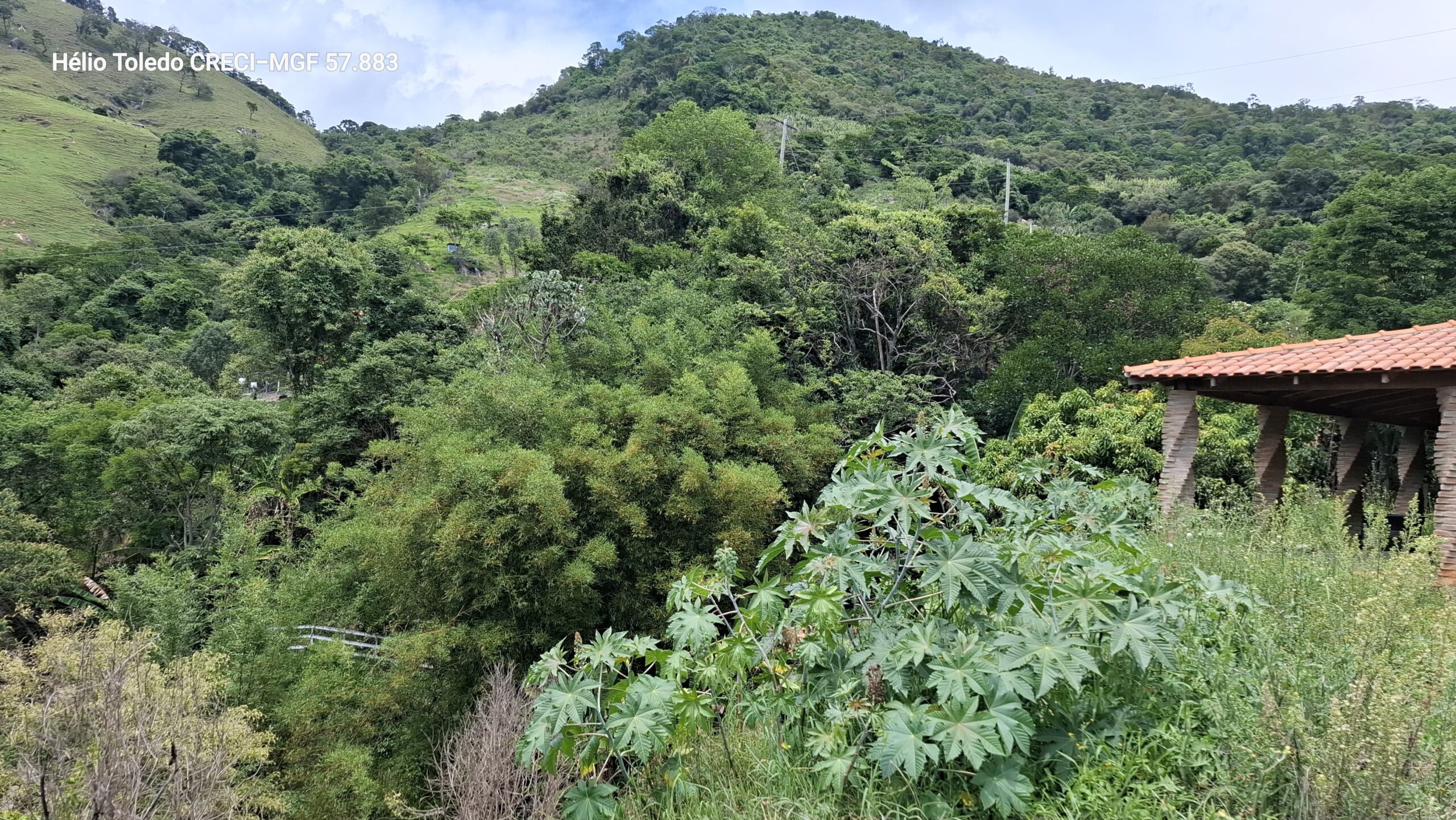 inbound2967160567022319817