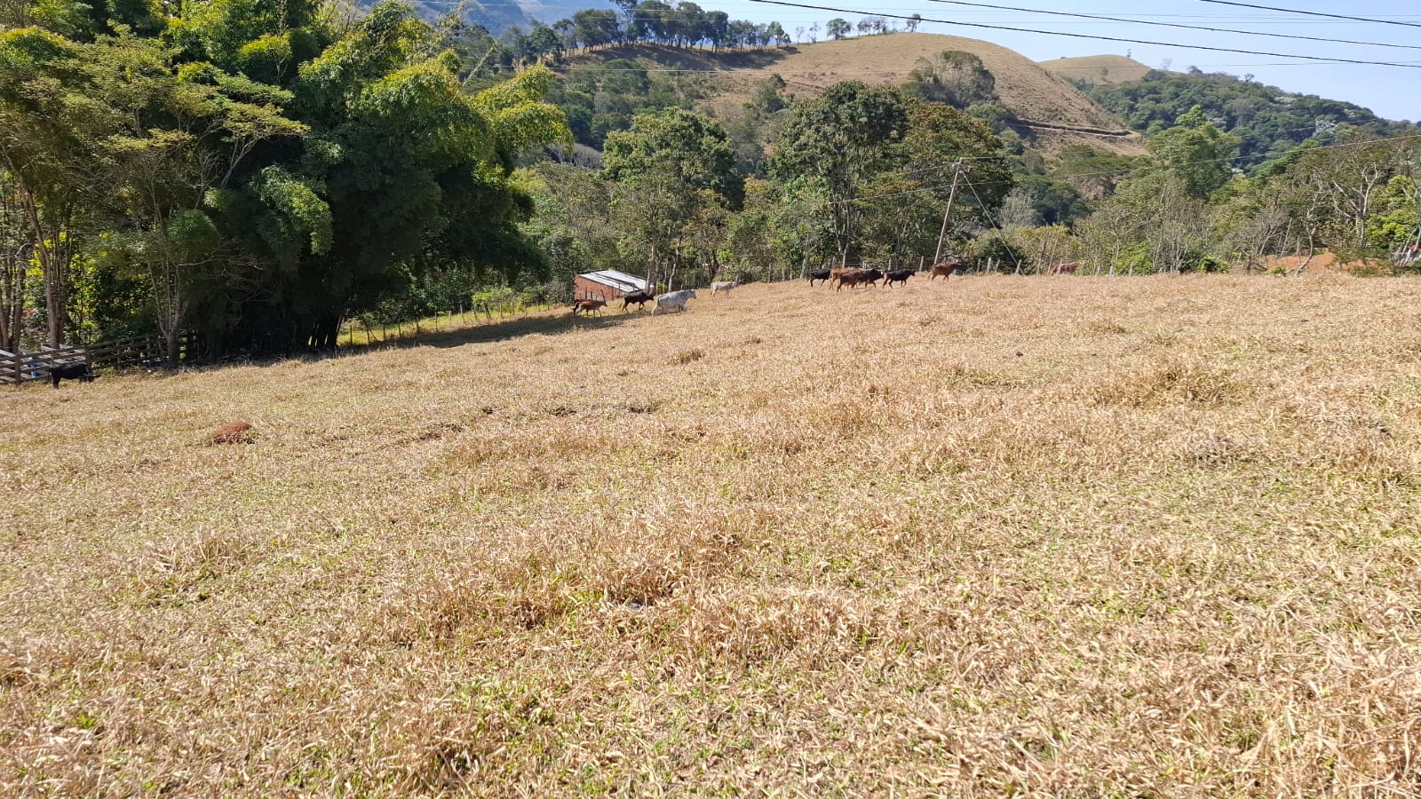 inbound3124398636731607780