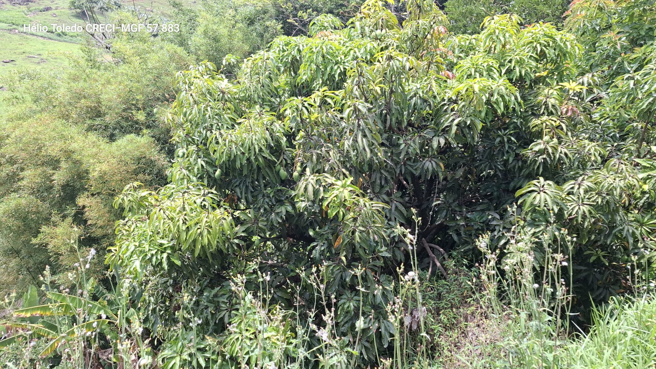 inbound3495482067914384516