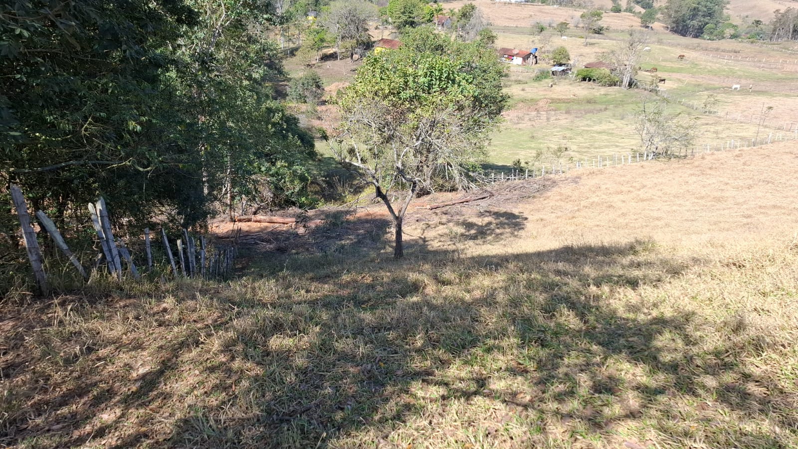 inbound4168292242283271201