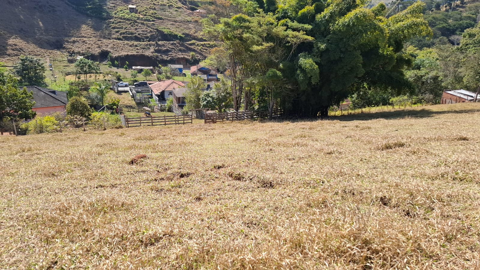 inbound4659334921330734726