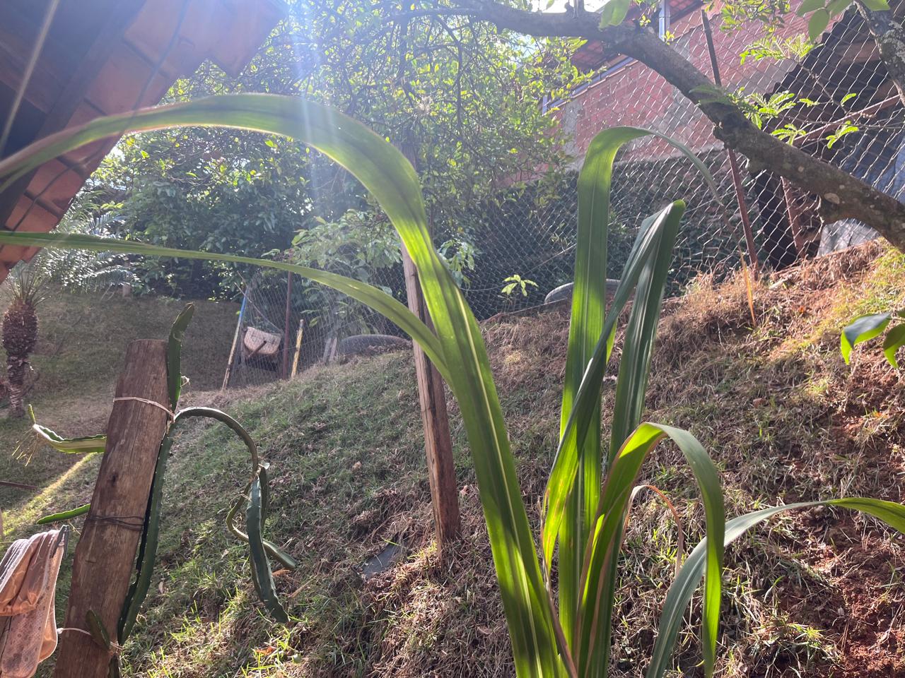 inbound6437843084245412084