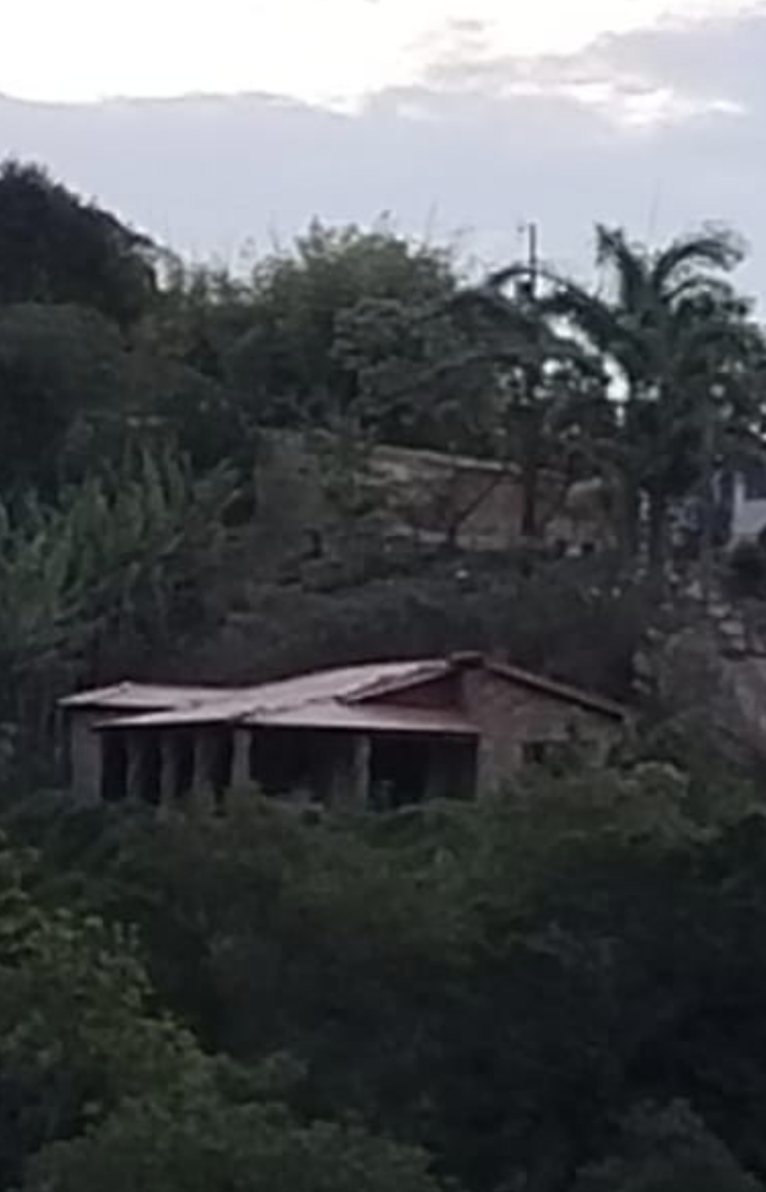 inbound8042382378503451418