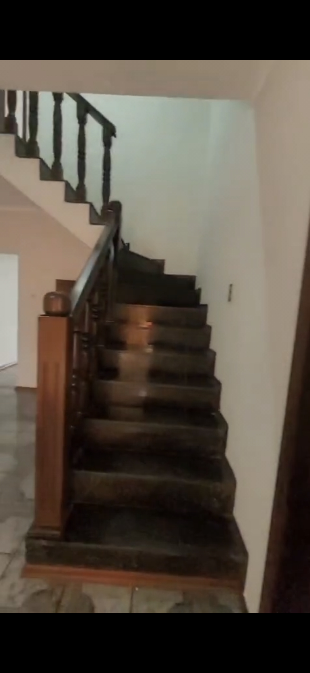 inbound8258258733498773036