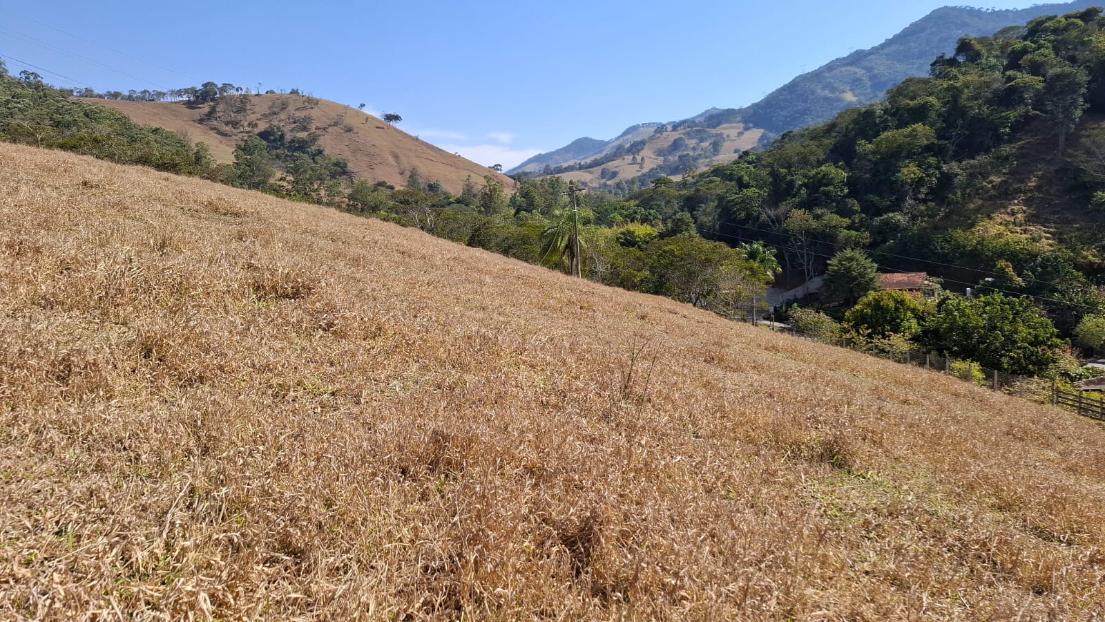 inbound8959117258132658671