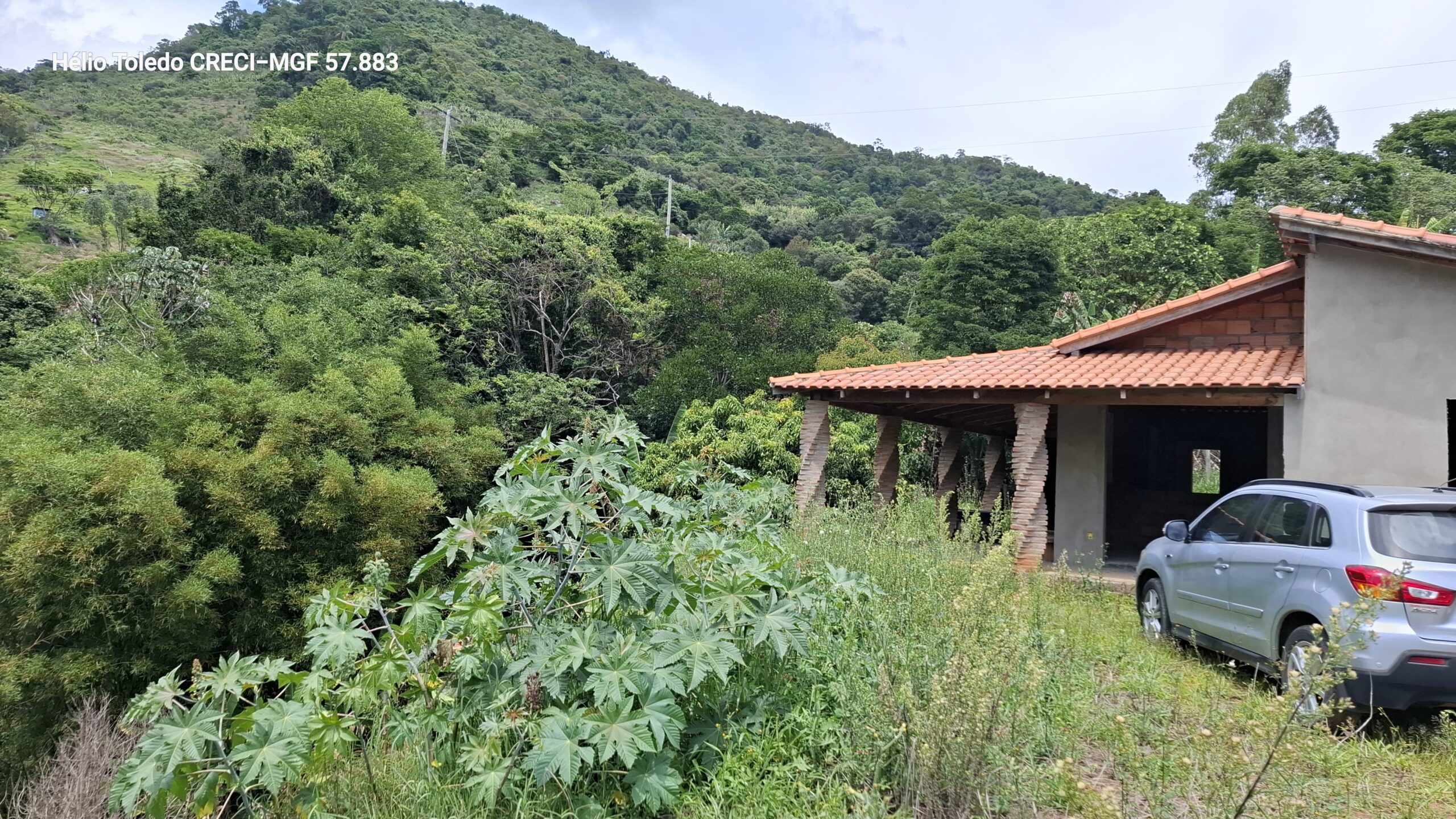 inbound9194256084430416638