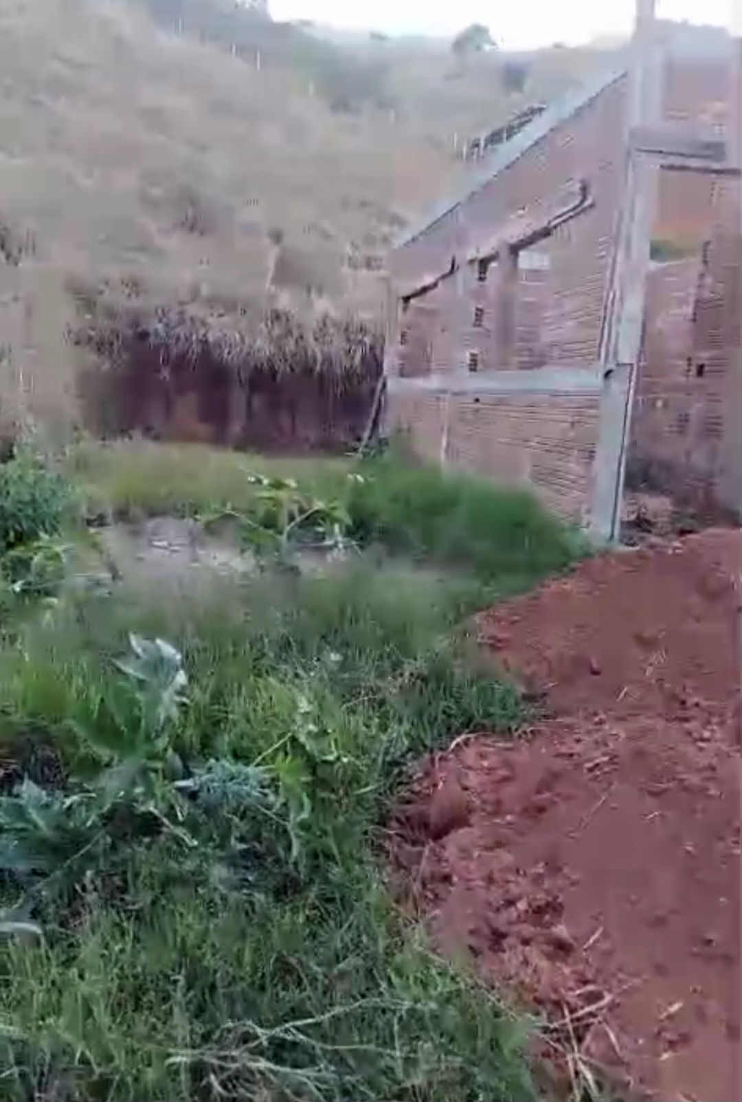 inbound2421399575982532797