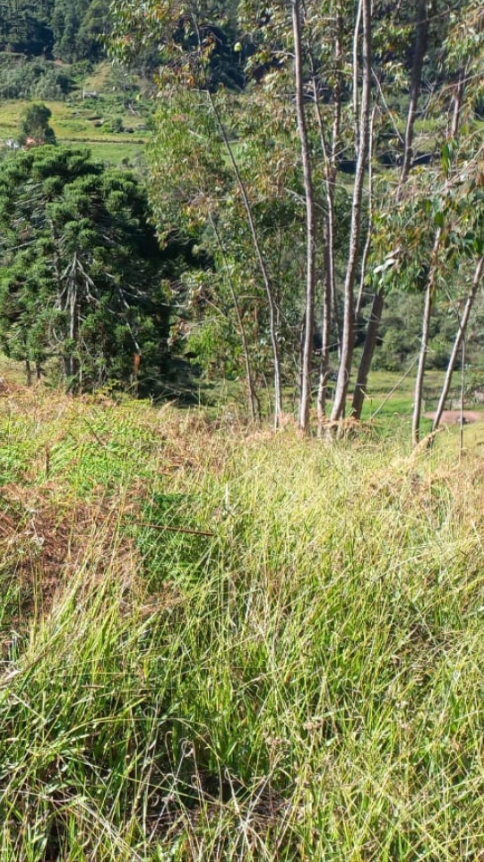 inbound2851290078750040702