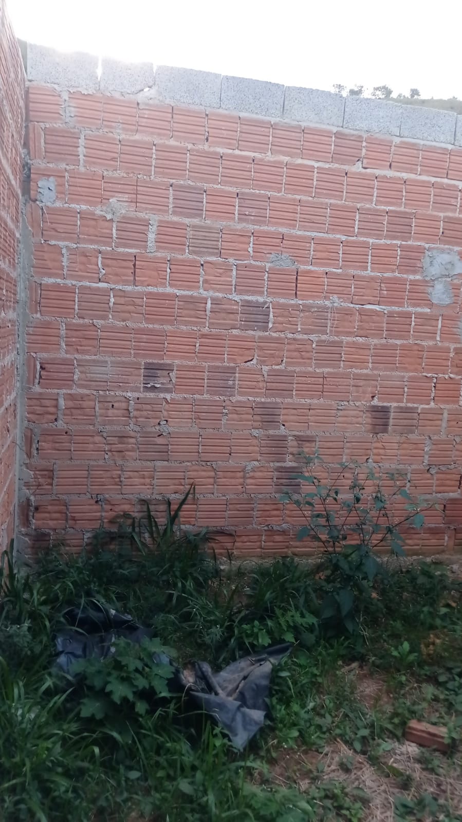 inbound2952553761023473777