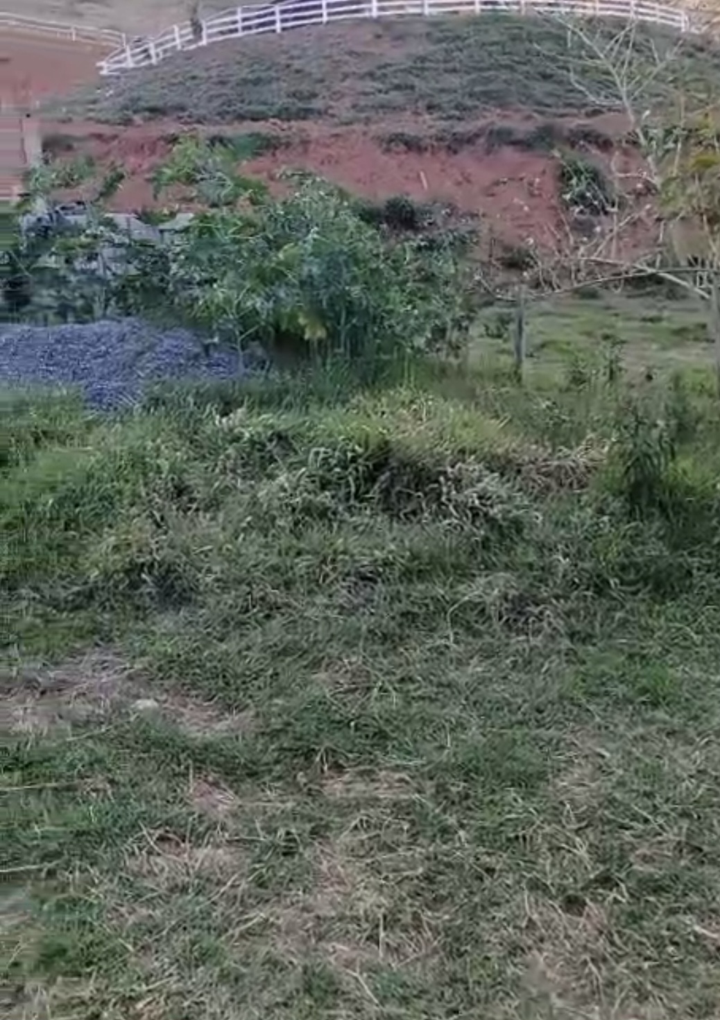 inbound3295341044274707111