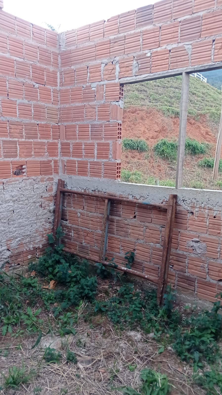 inbound3923815770373498783