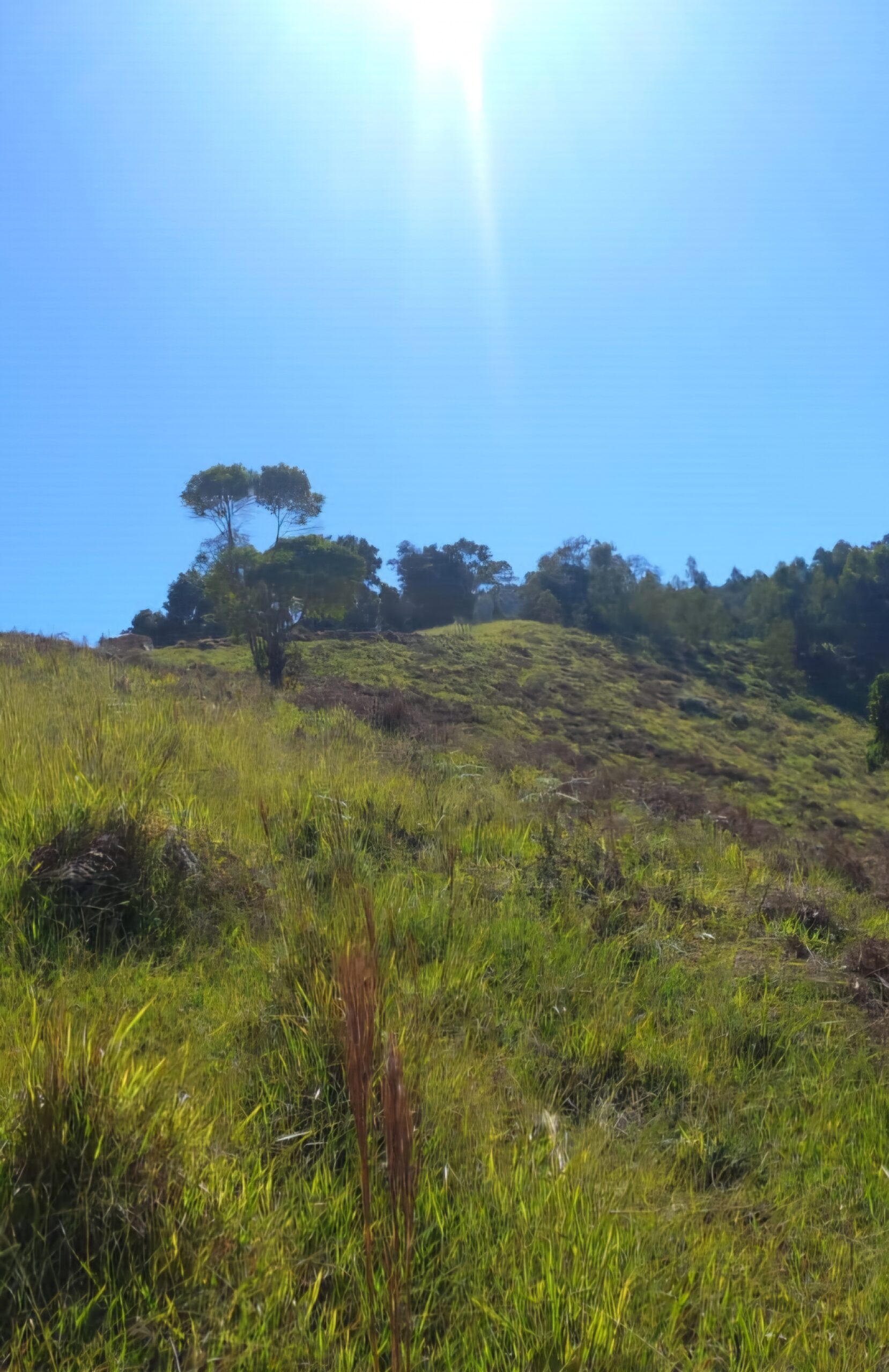 inbound5195678101840993577