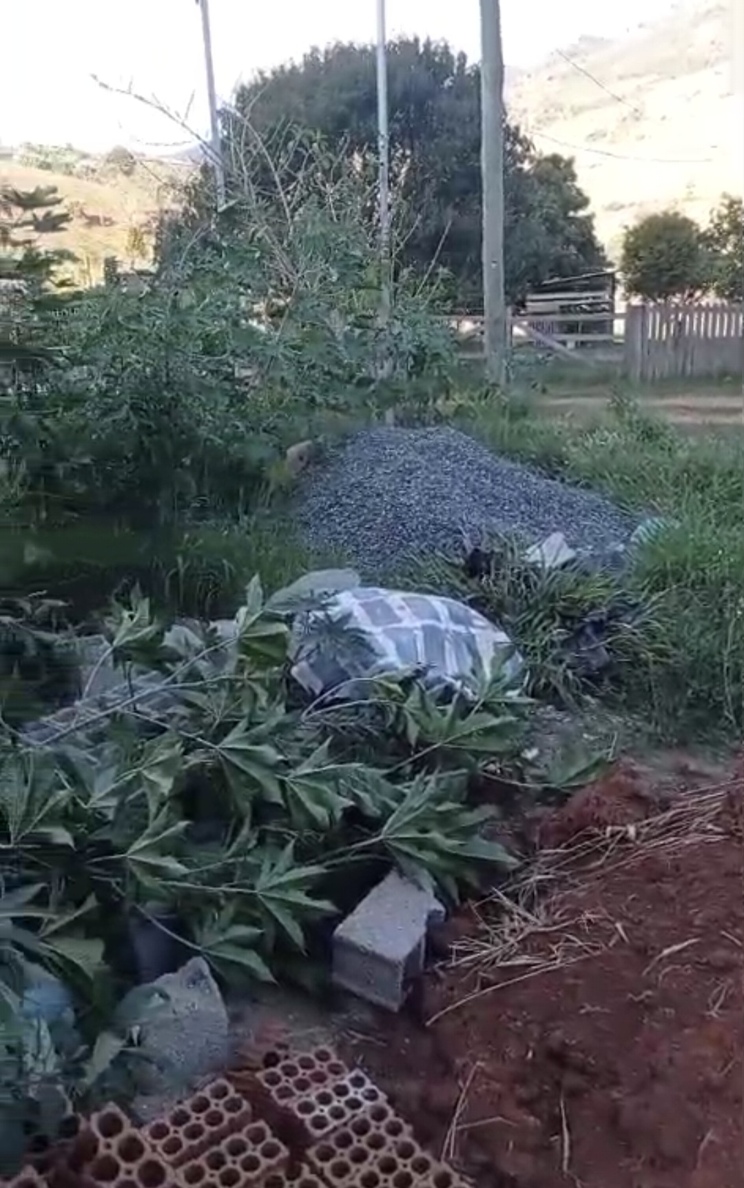 inbound5532680083685028701