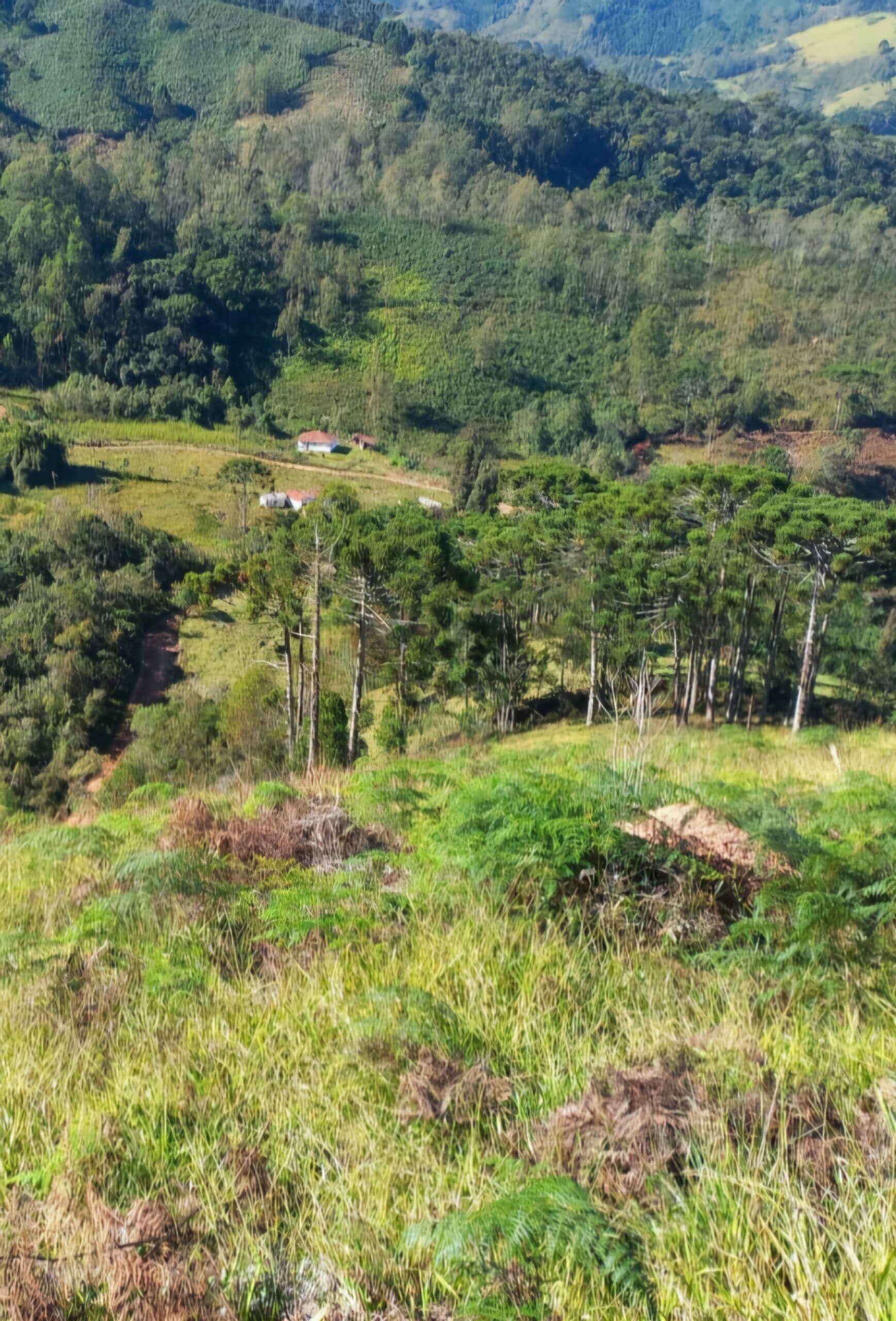 inbound5833498389981055371