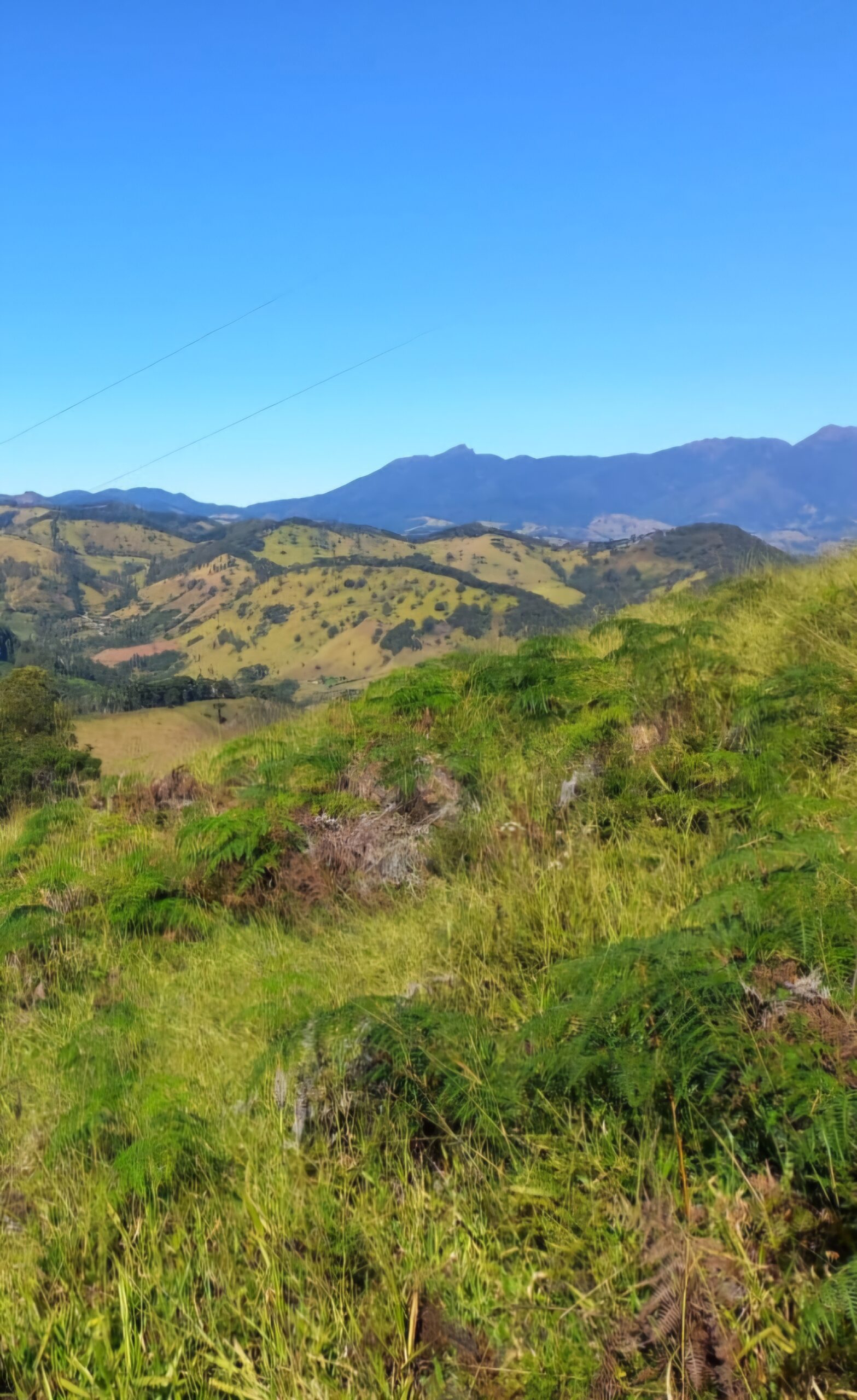 inbound6059387539934067173