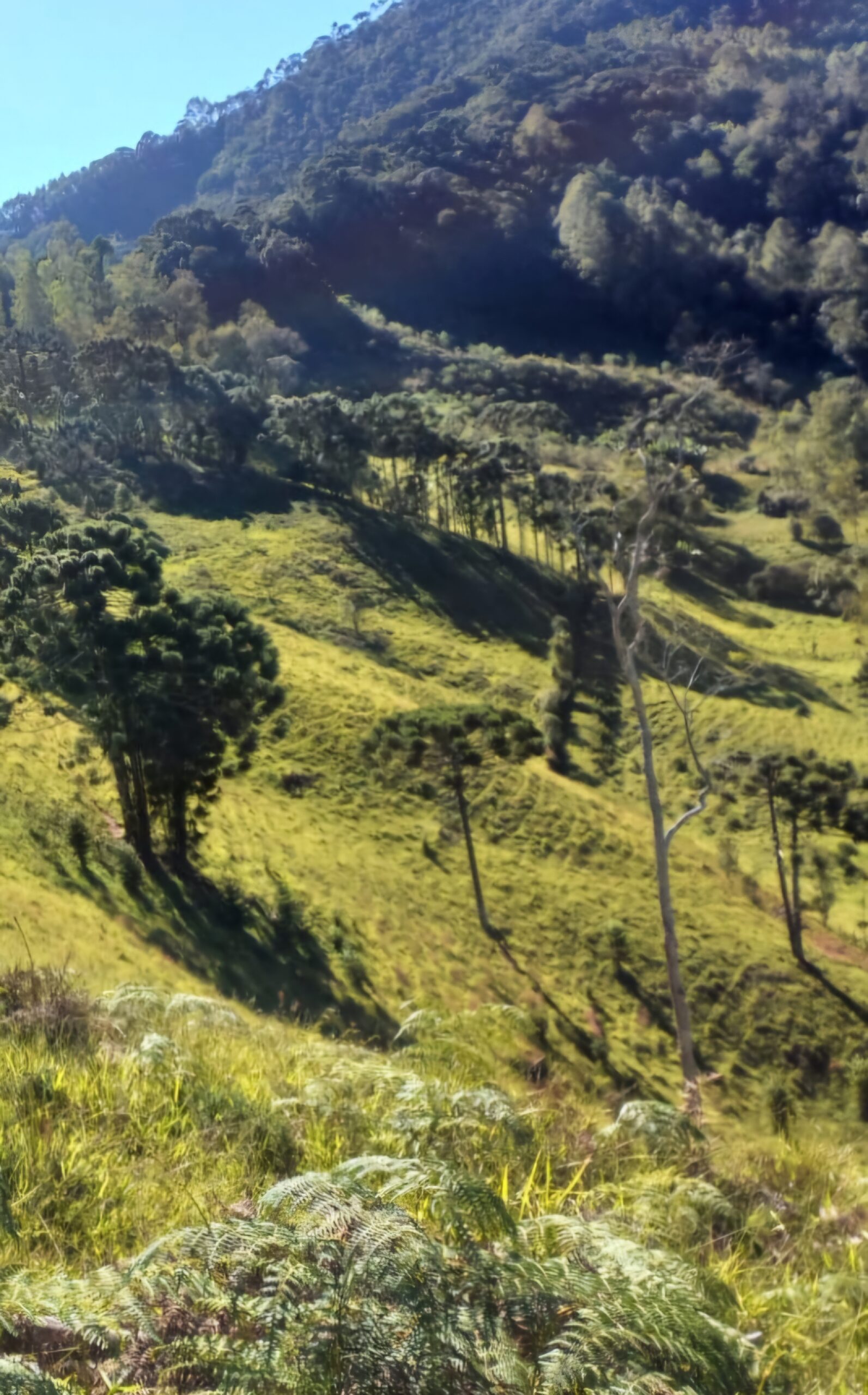 inbound6785829298935714208