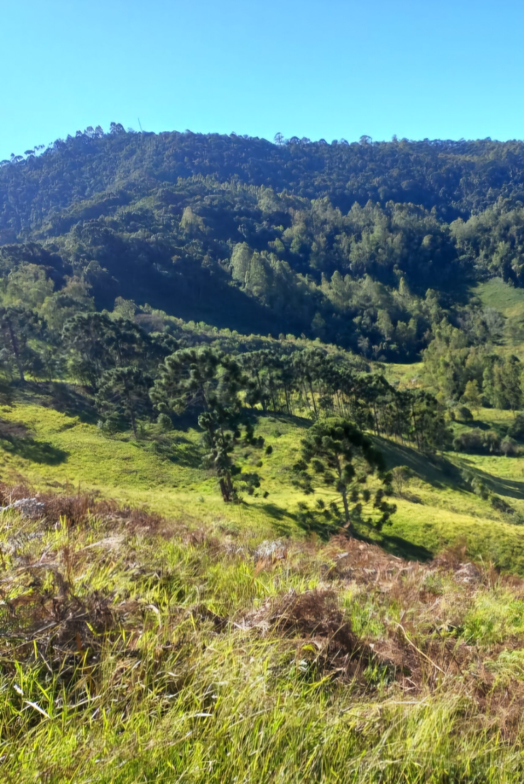 inbound7278993027611933049