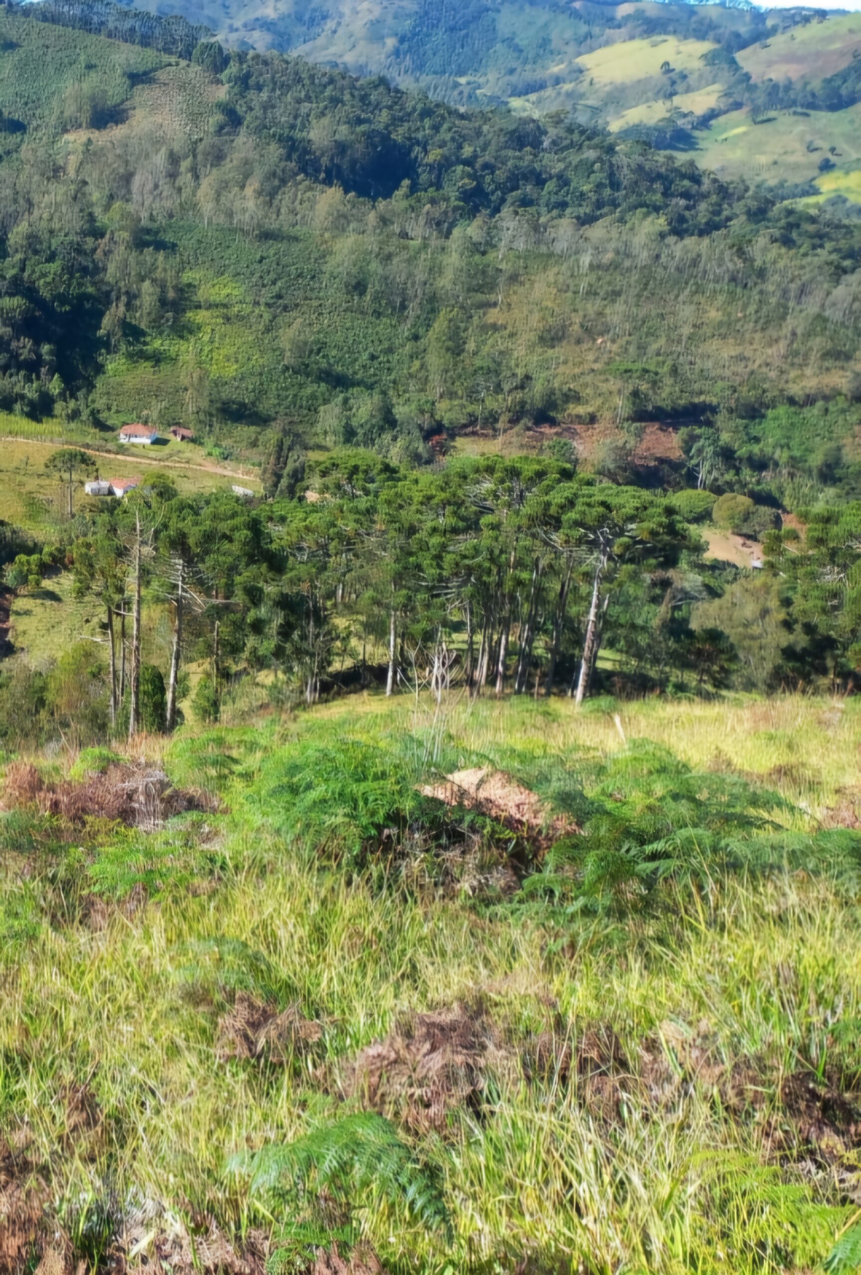 inbound7884773029560339080