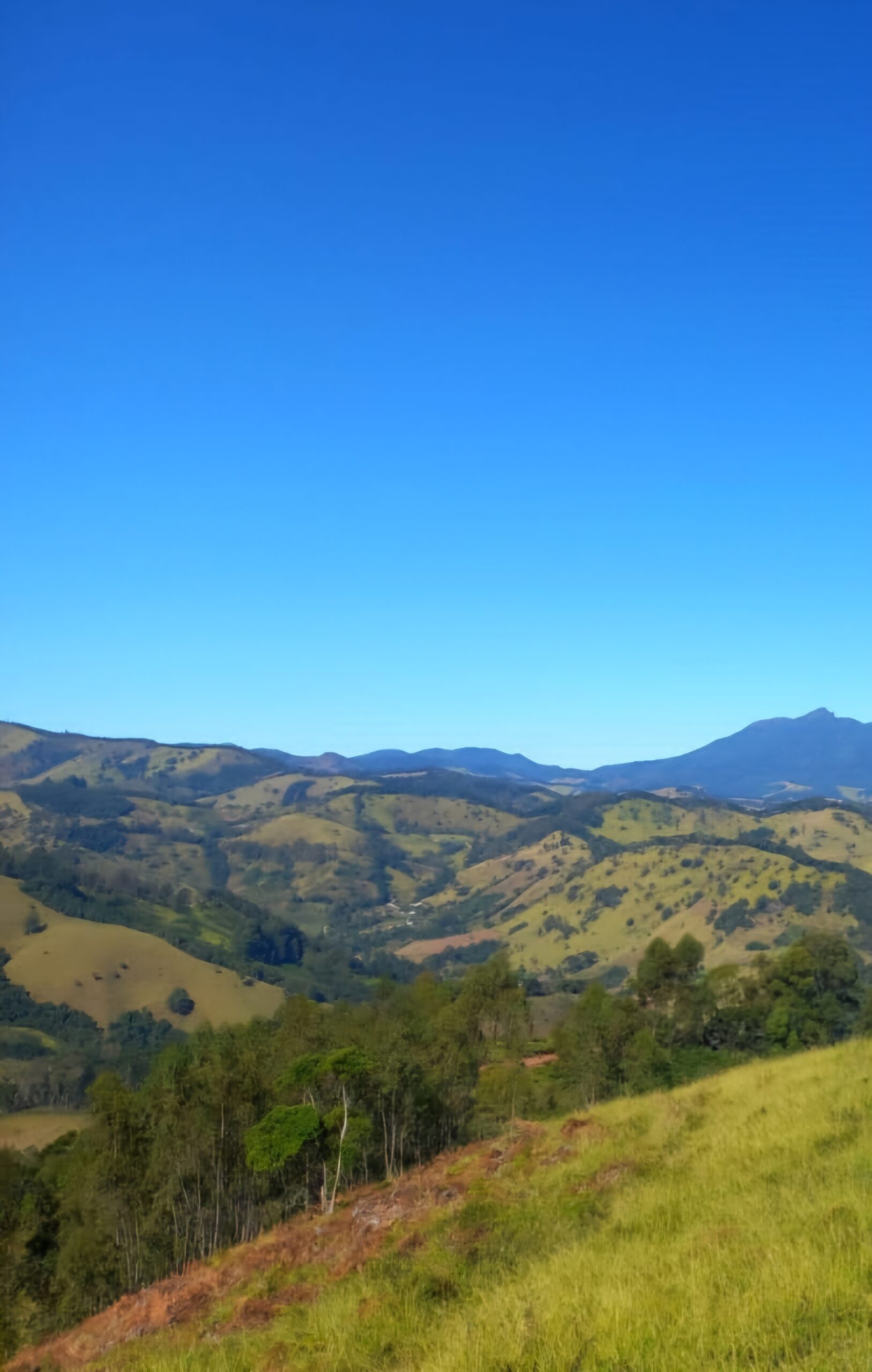 inbound8047684427647201427