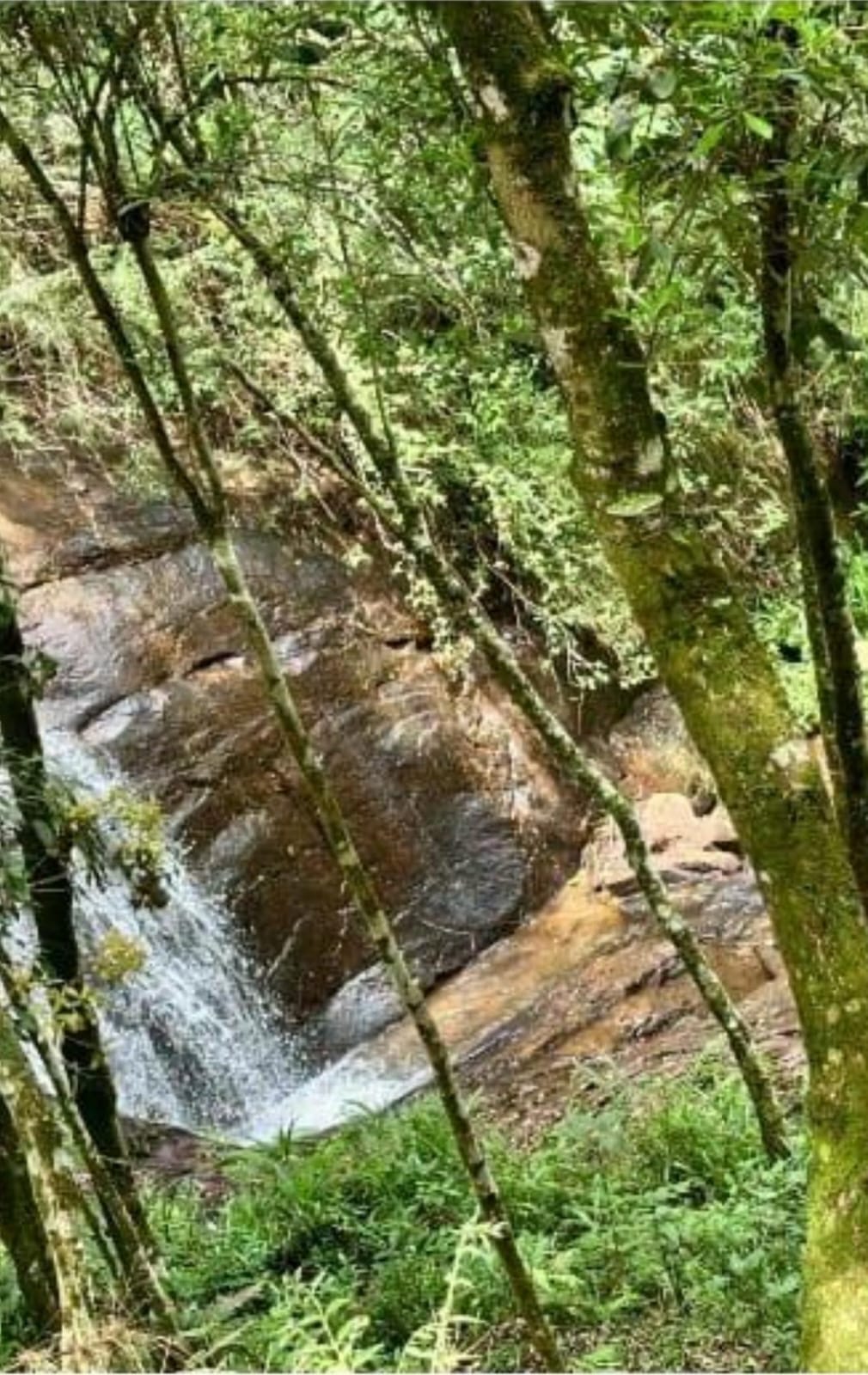 inbound3574440158053639743