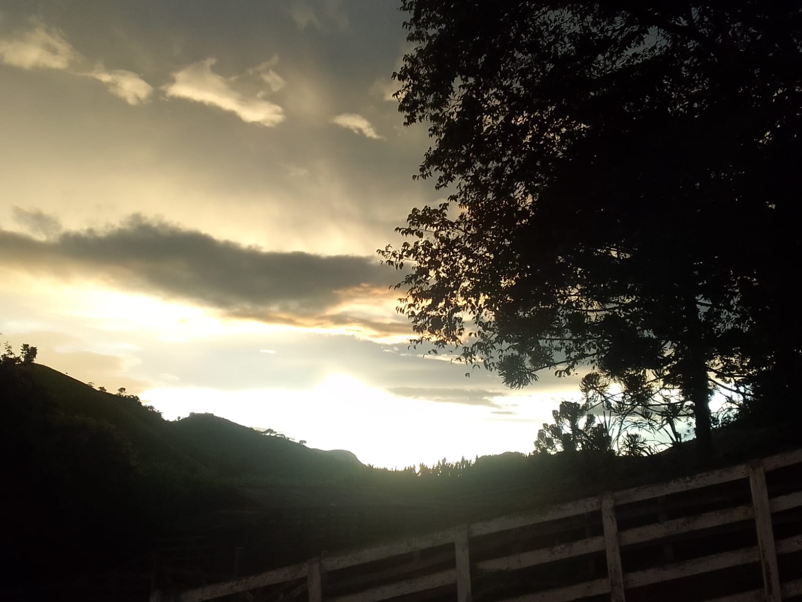 inbound6010090985703280926