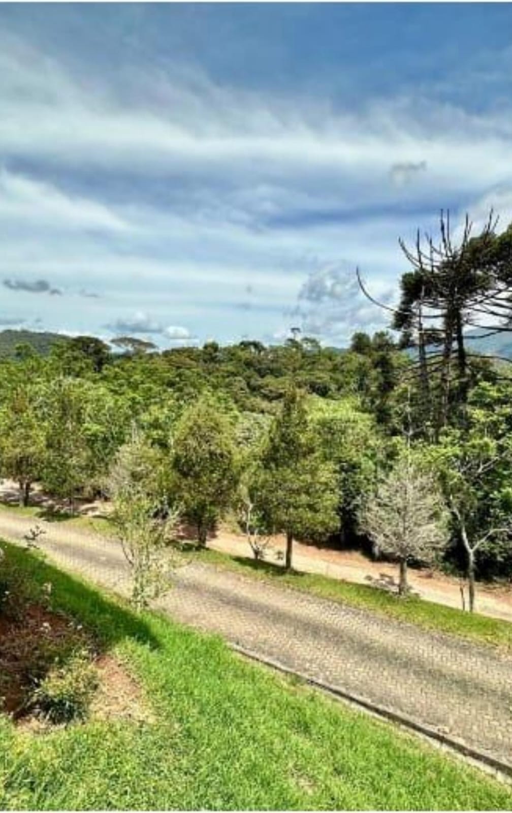 inbound6935023067130551164