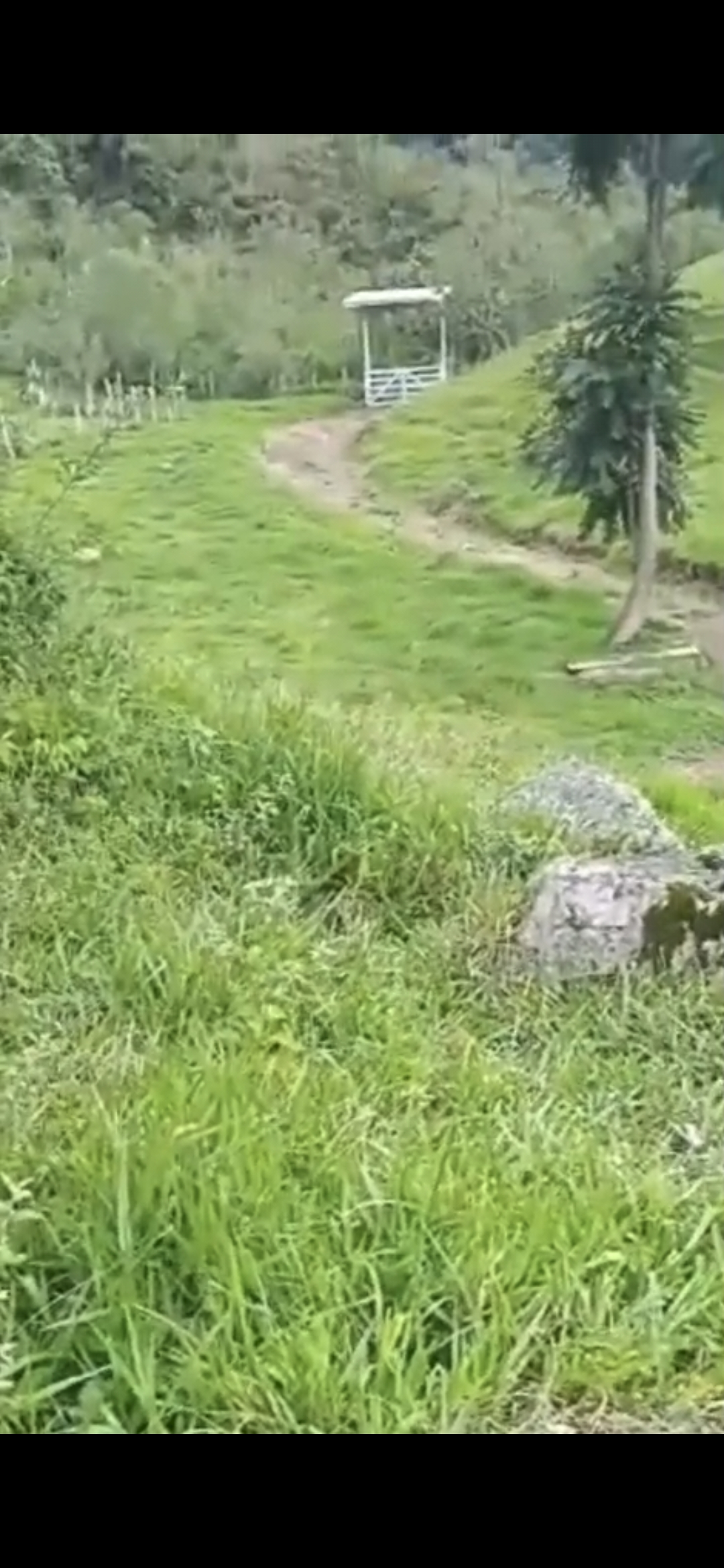 inbound1179771494409847297