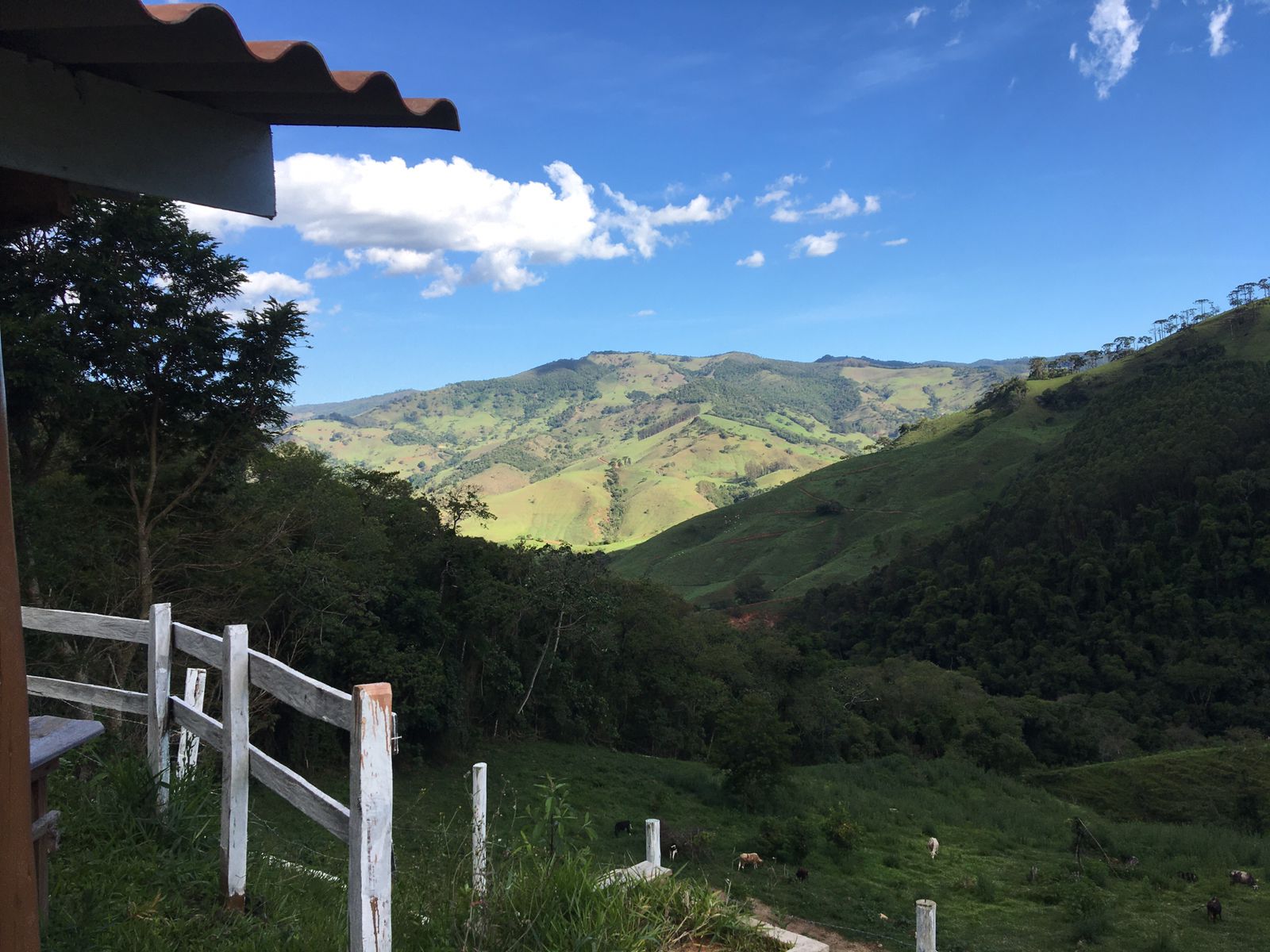 inbound1217113498178168397