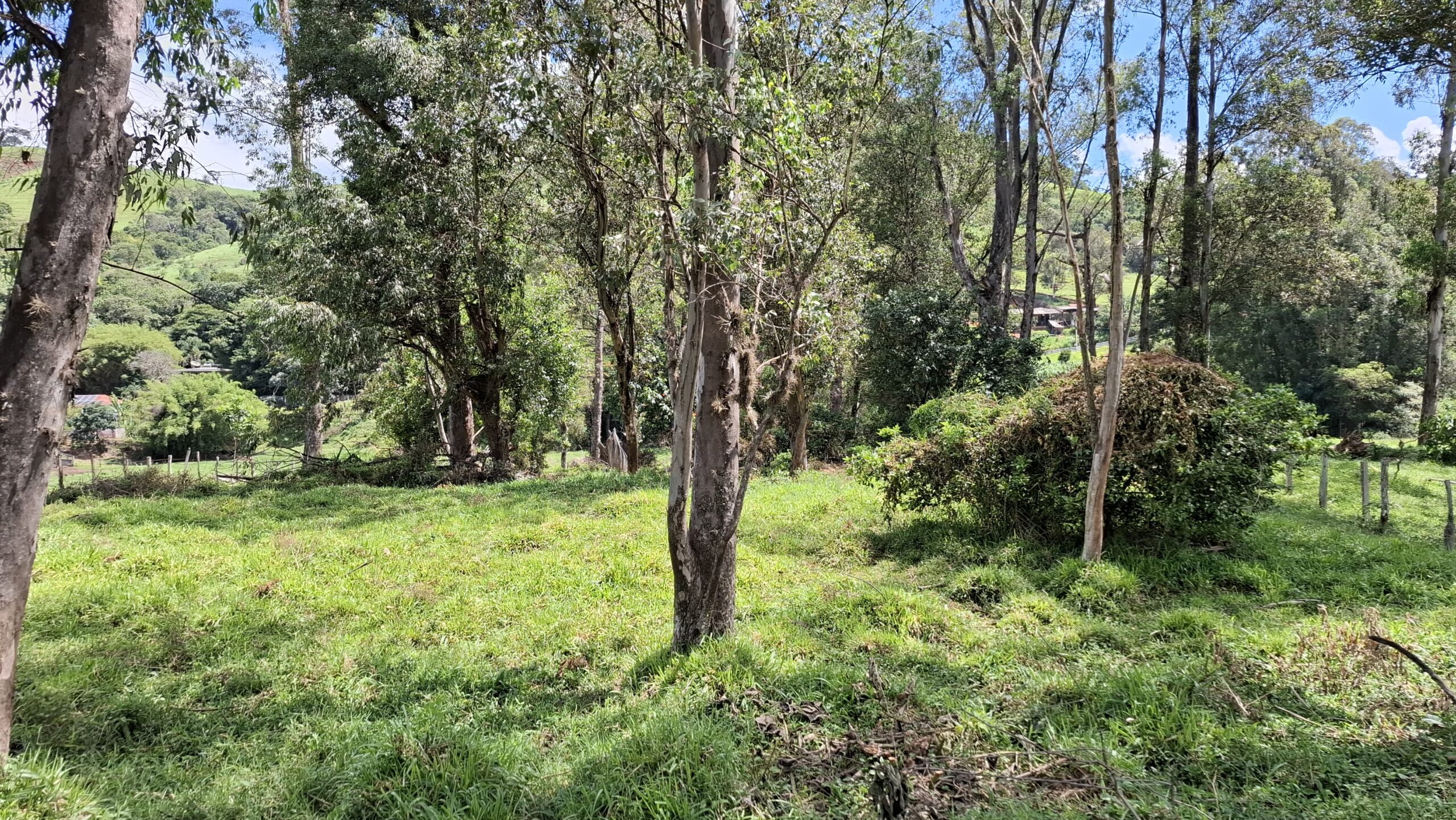 inbound2453241244487707803