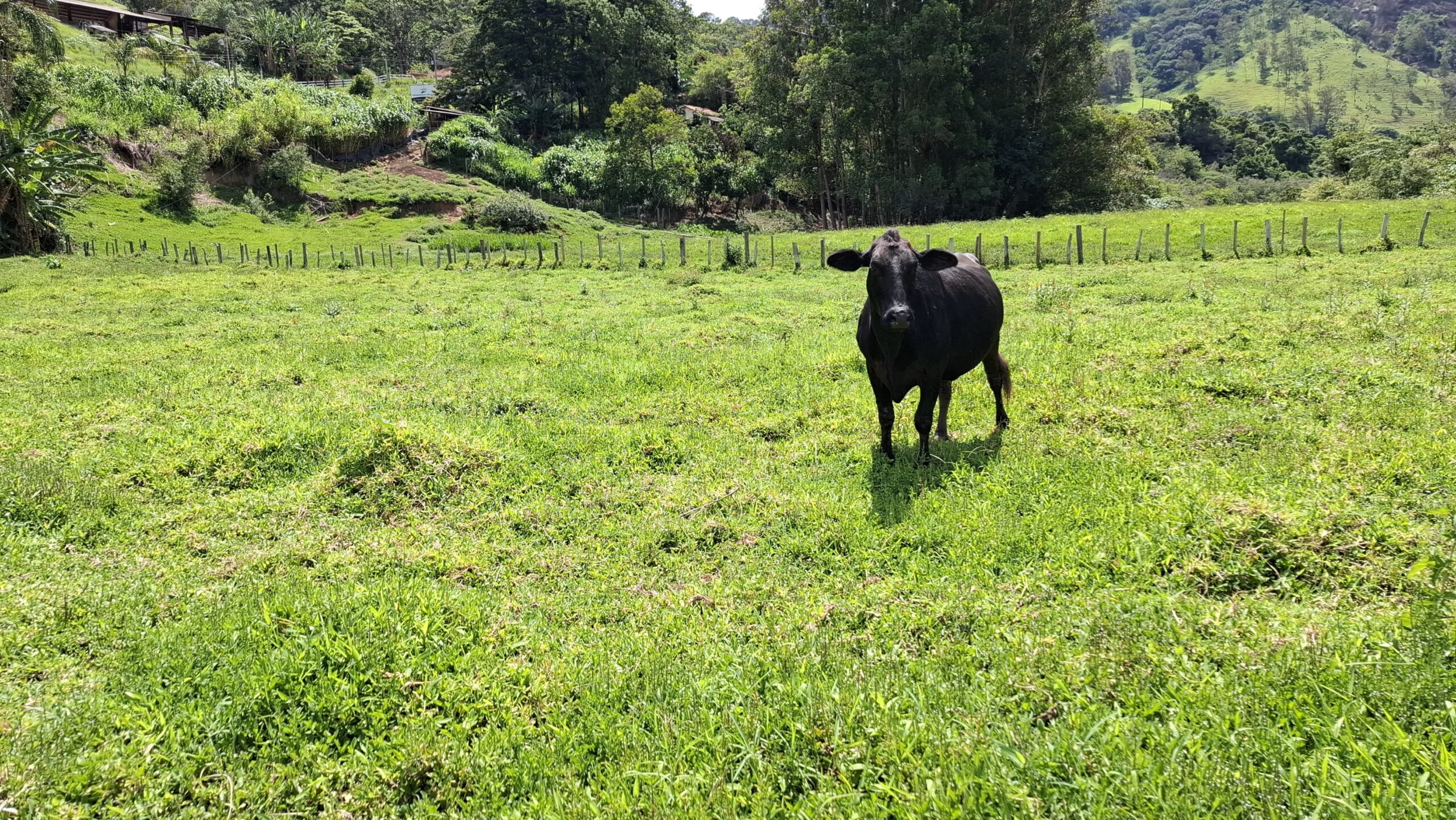 inbound264733503626421312