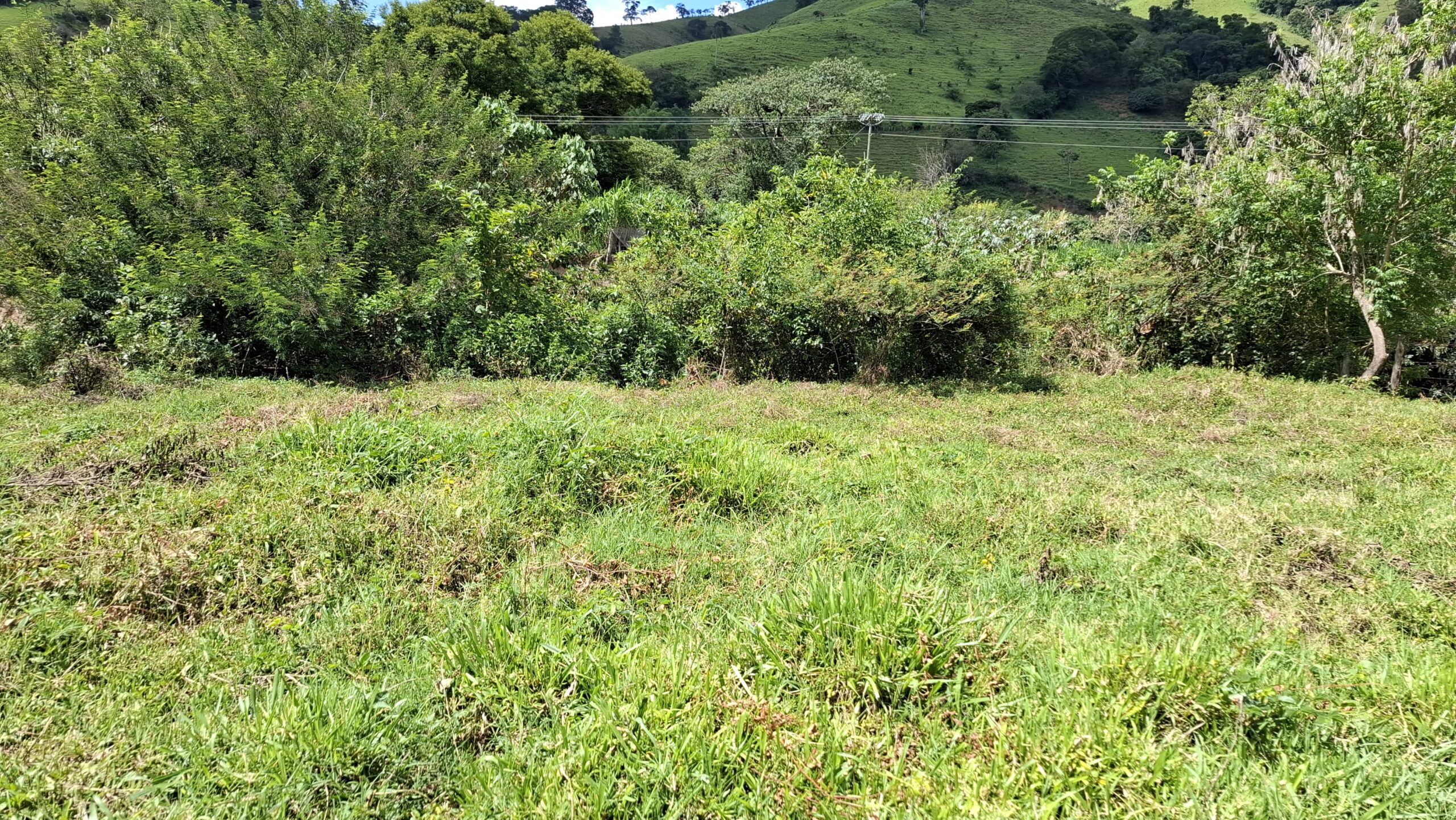 inbound3072308198666993028