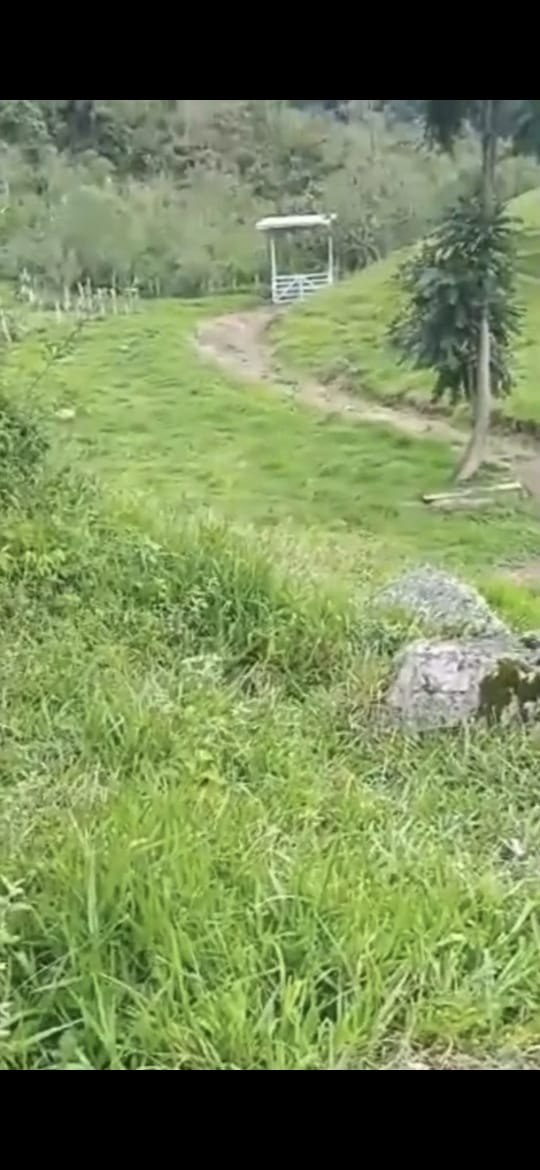 inbound3245770800392414732