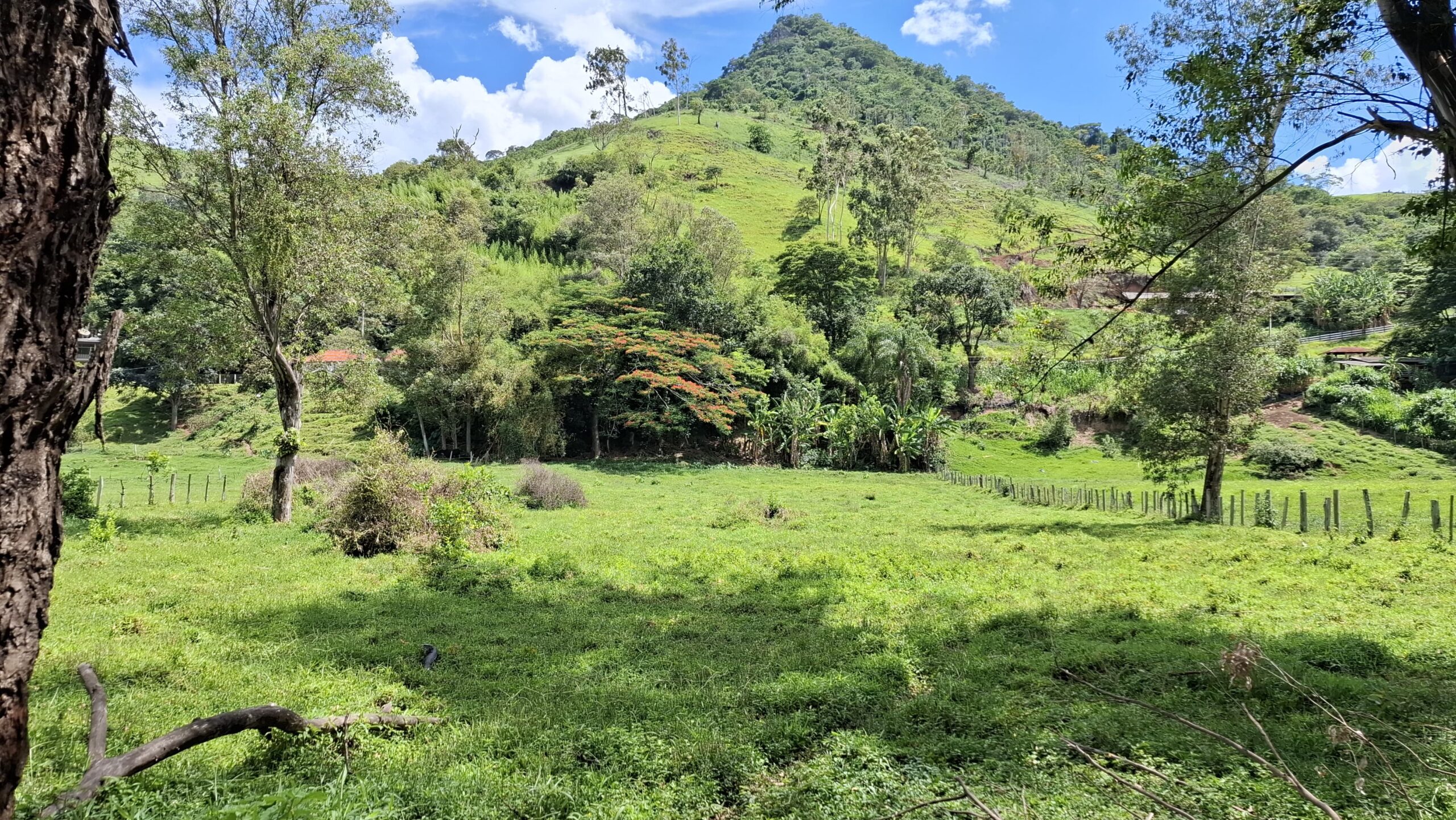 inbound4440798870538110869