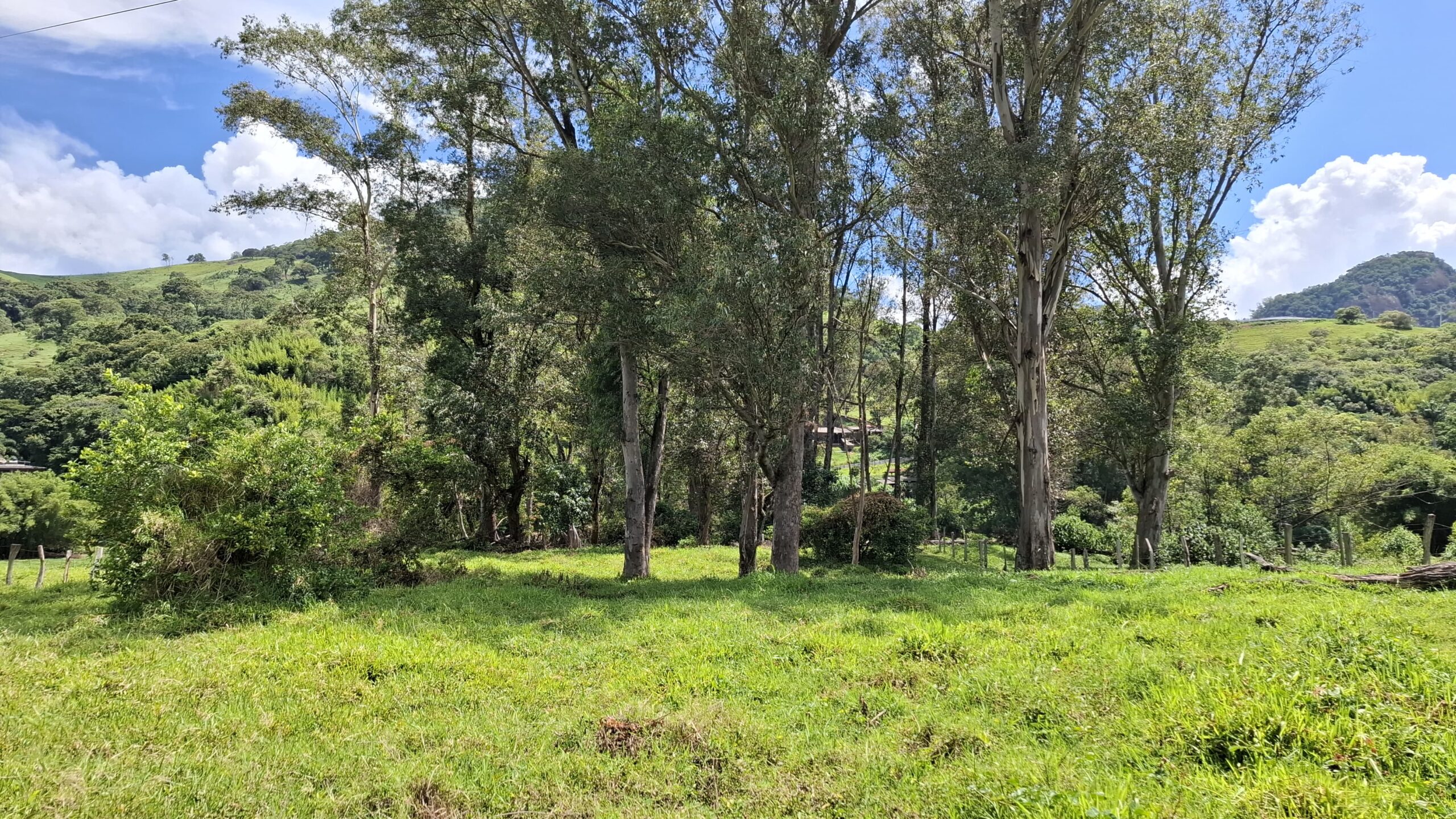 inbound4683025842213260282