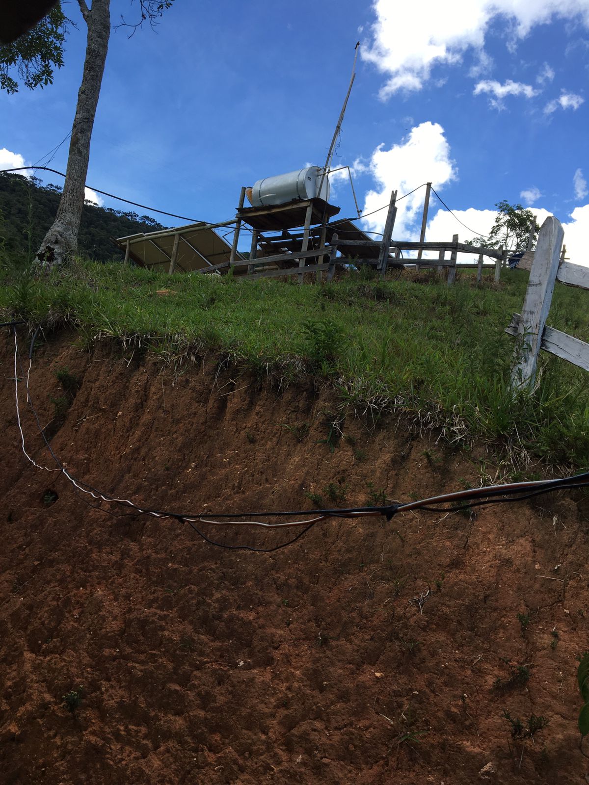 inbound4783013491604201296