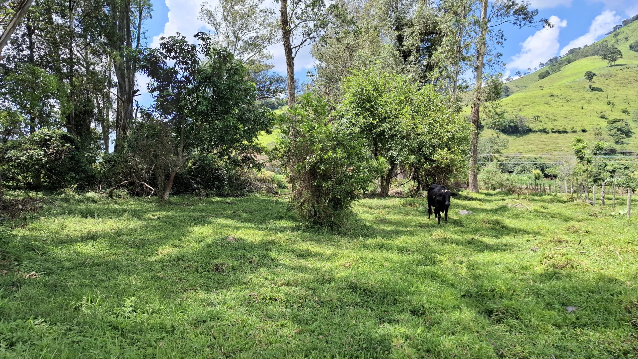 inbound518317209598763825