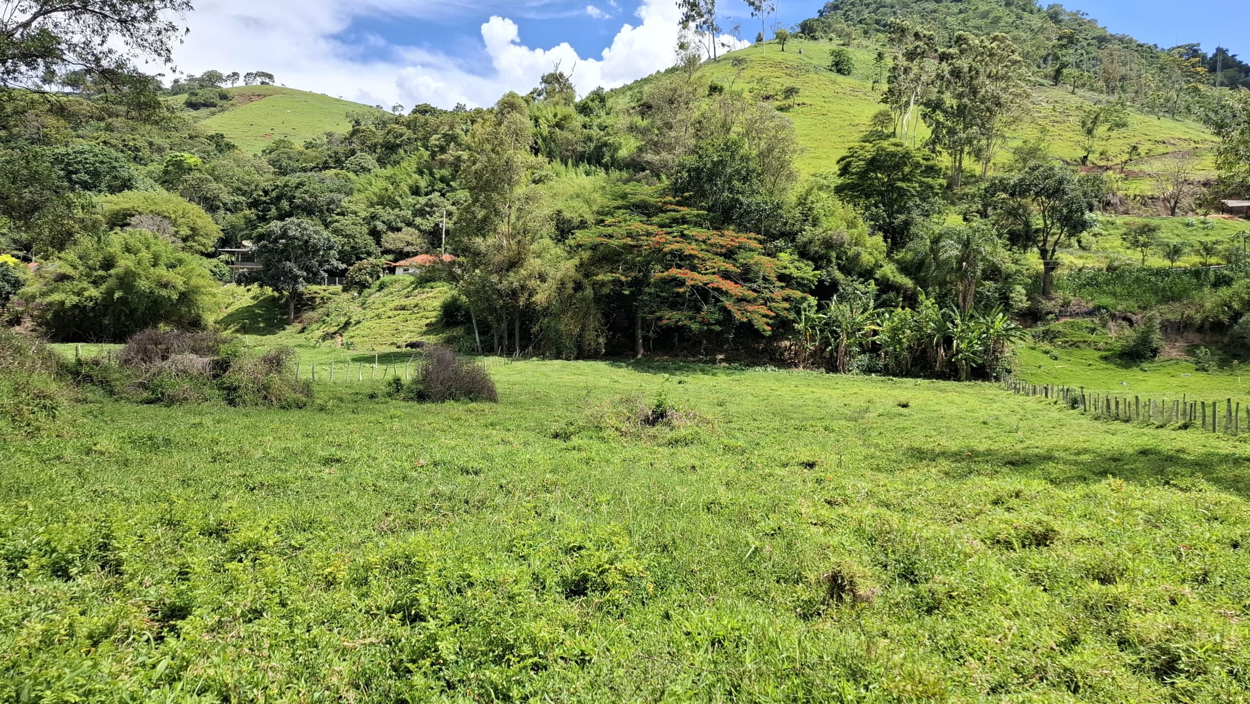 inbound5219888532780858555