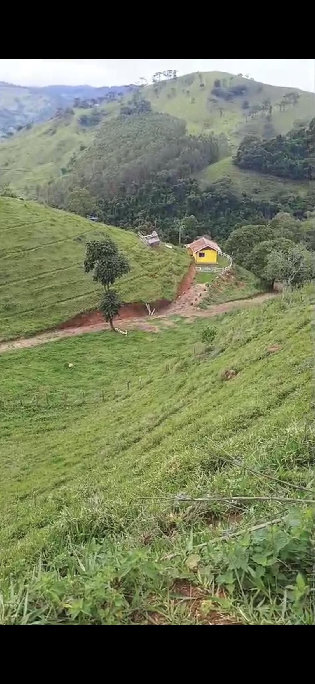 inbound6041367932814669837