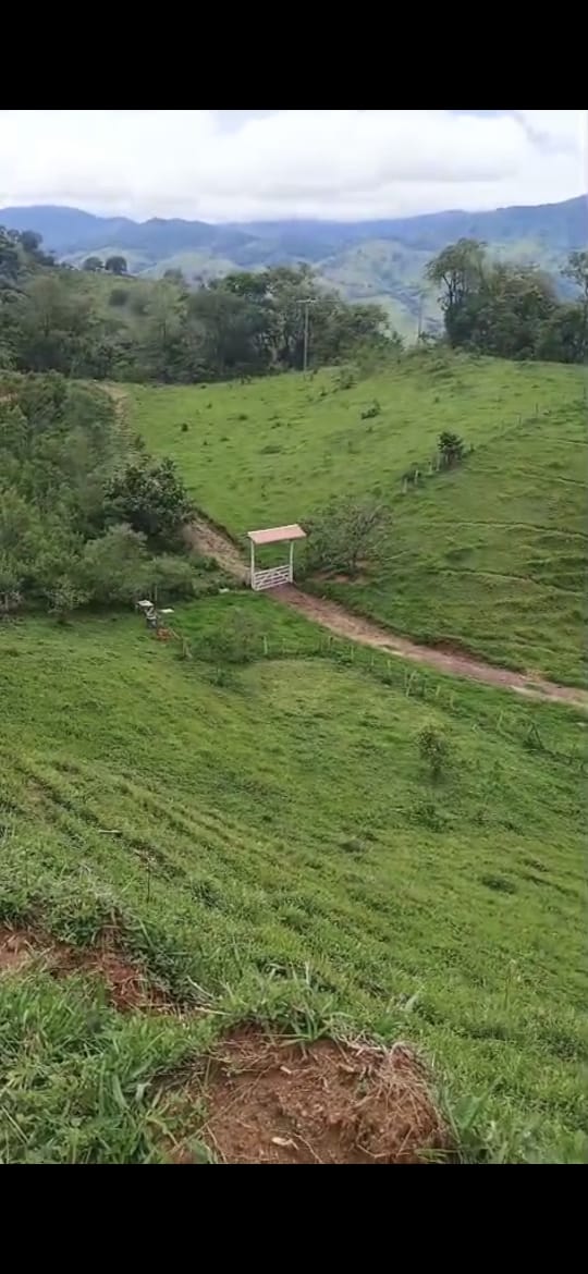 inbound6195492099032600445