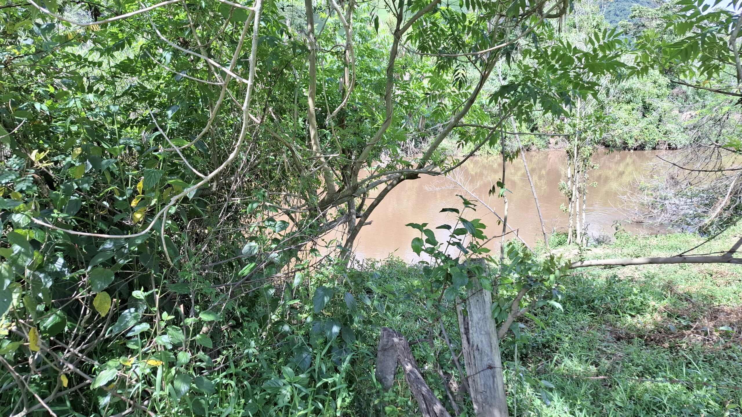 inbound6490684915674295434